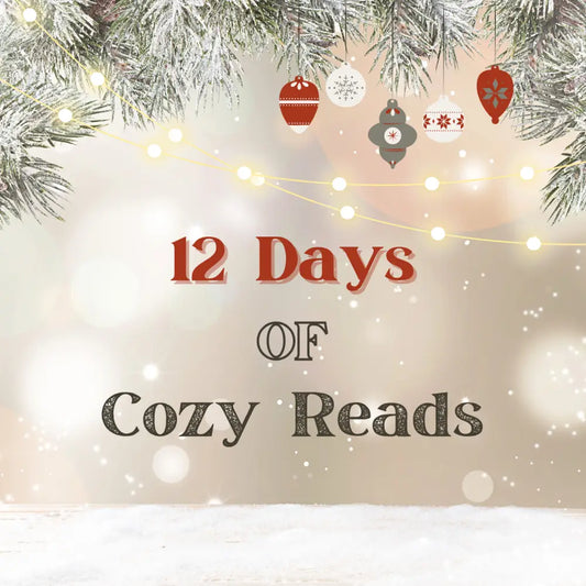 12 Days of Cozy Reads: A Curated Holiday Advent Calendar Book Box - Book Box