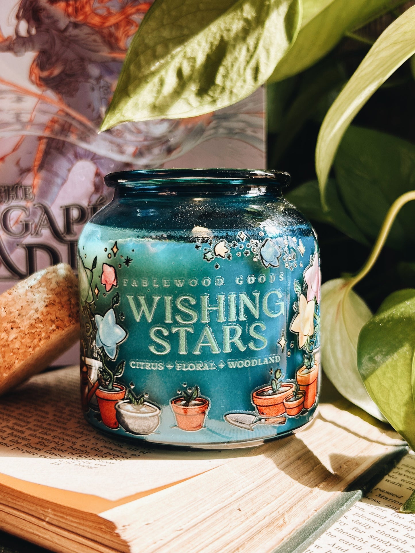 Estrellas de los deseos | Vela de soja de boticario de 237 ml