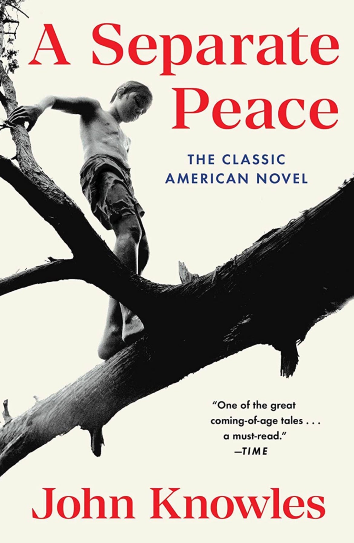 A Separate Peace by John Knowles , David Levithan (Afterword)