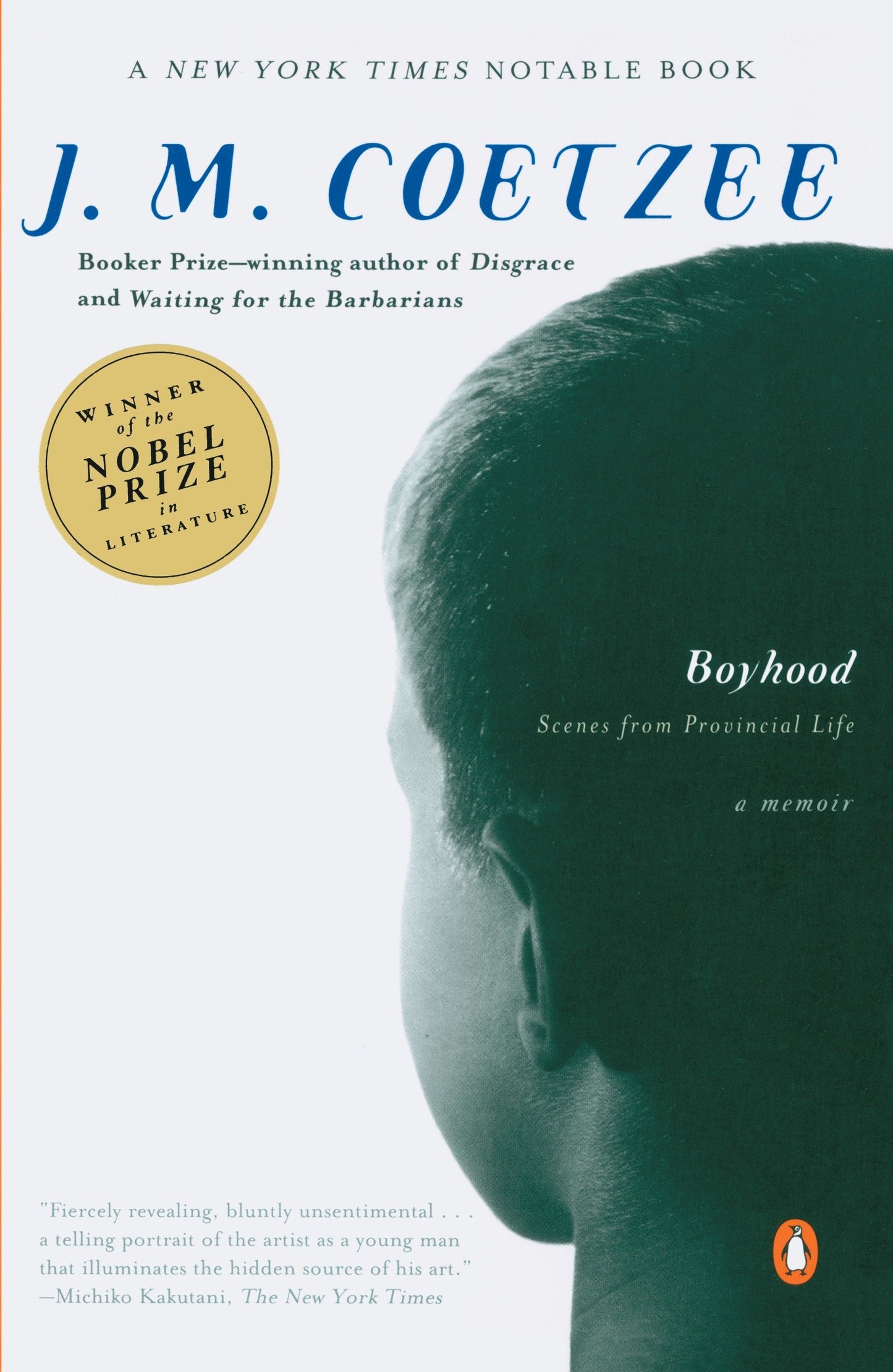 Boyhood - Scenes from Provincial Life (Scenes from Provincial Life) (Book:1)