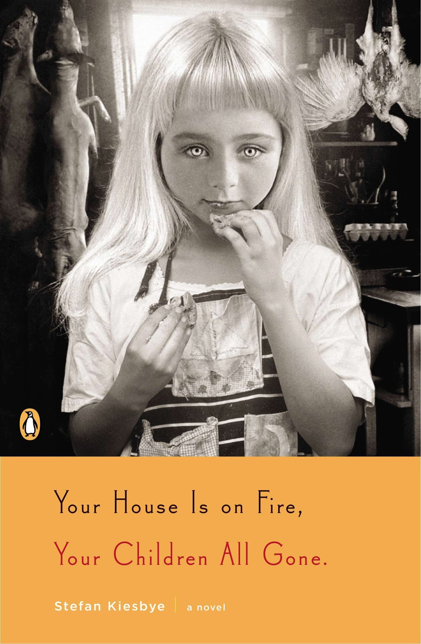 Your House Is on Fire, Your Children All Gone - A Novel