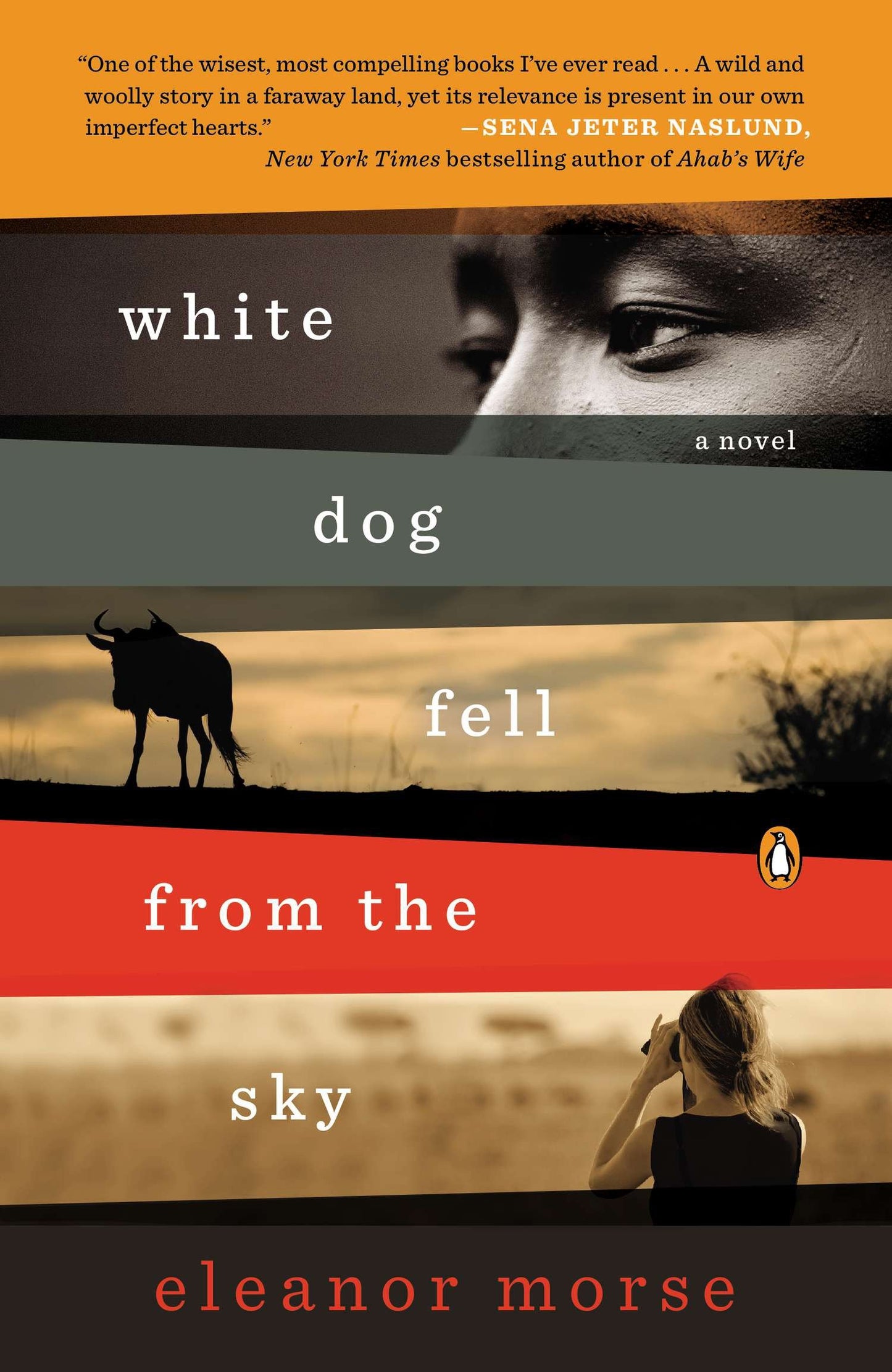 White Dog Fell from the Sky - A Novel