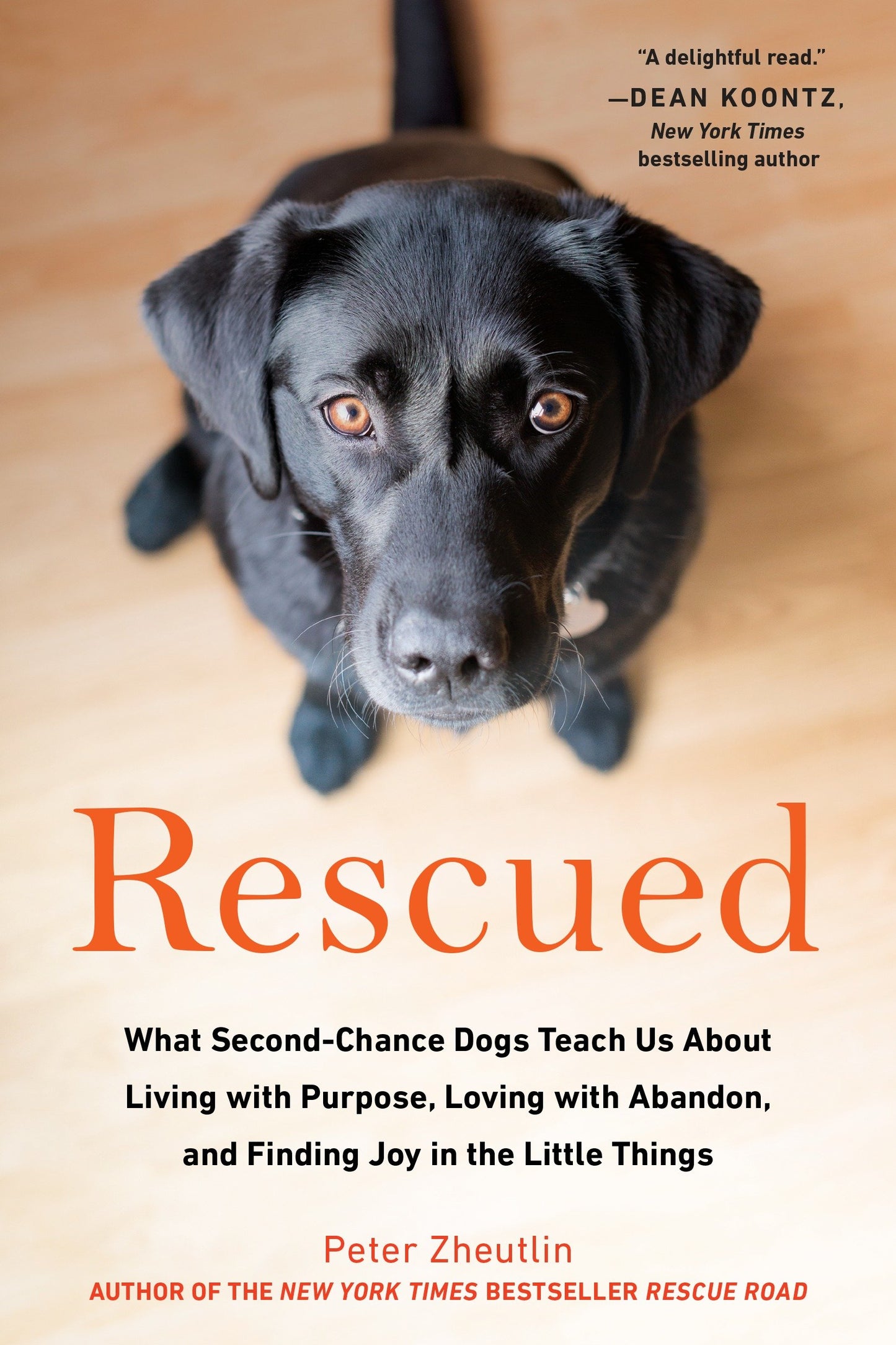 Rescued - What Second-Chance Dogs Teach Us About Living with Purpose, Loving with Abandon,and Finding Joy in the Little Things