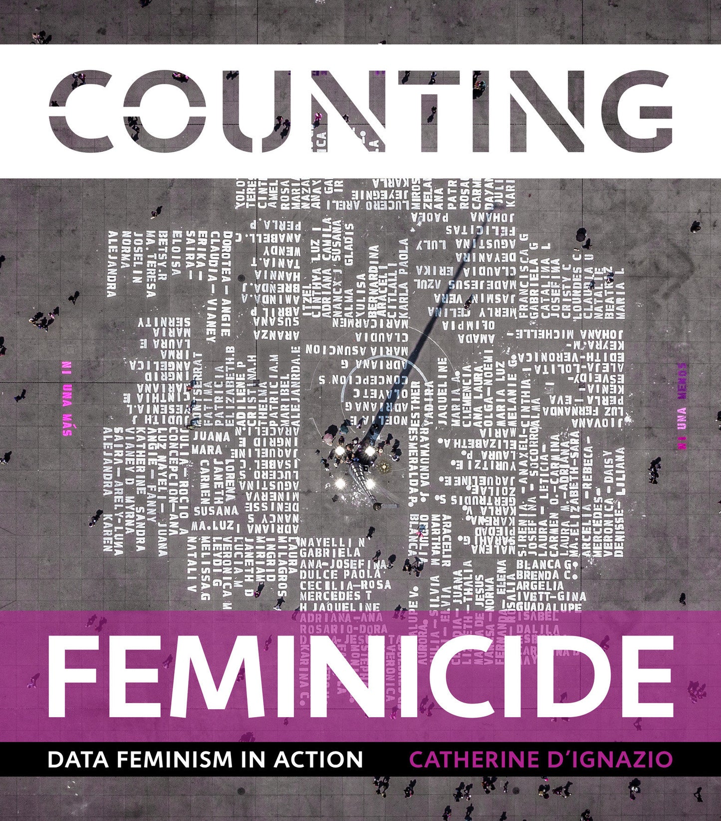 Counting Feminicide - Data Feminism in Action