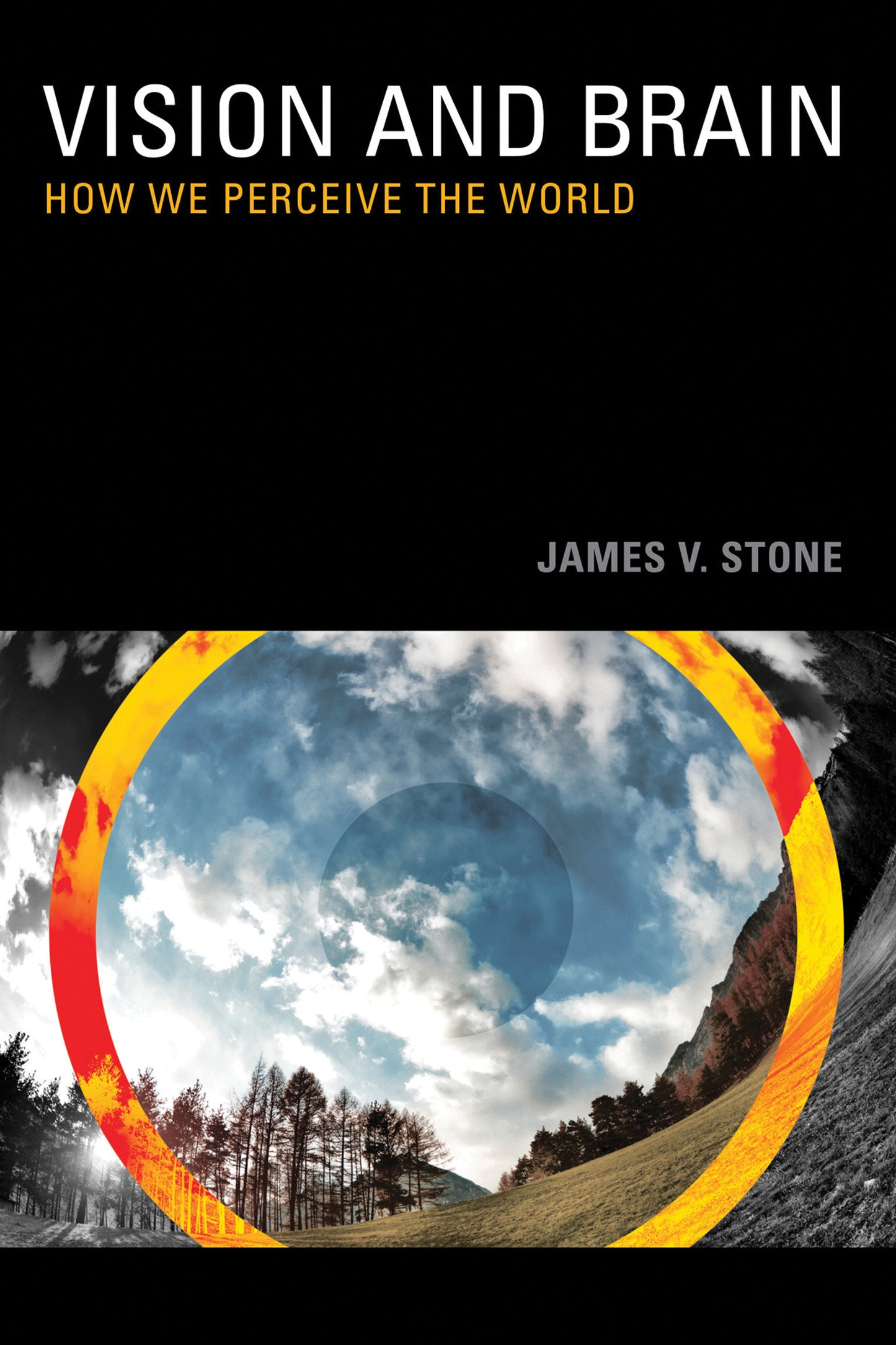 Vision and Brain - How We Perceive the World