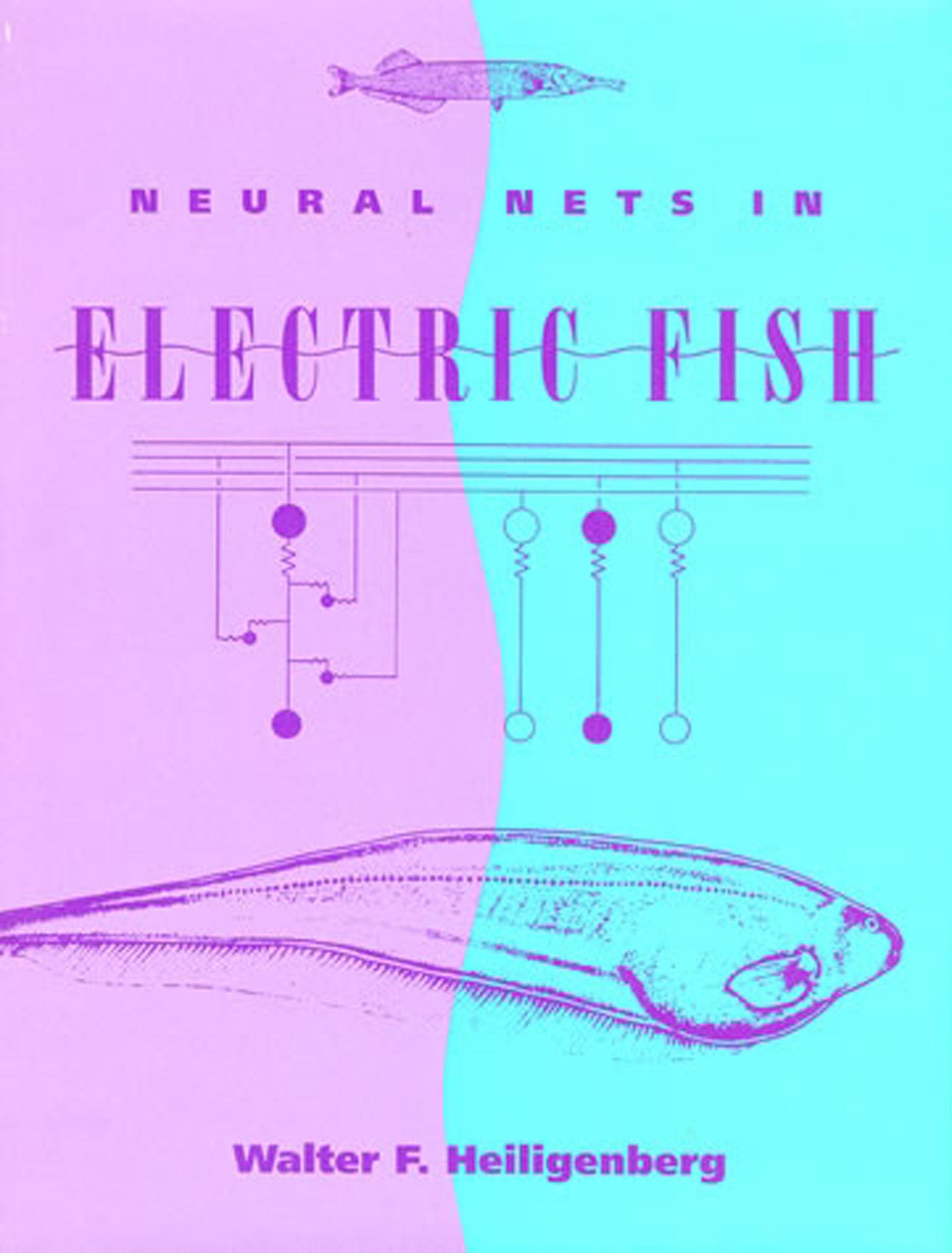 Neural Nets in Electric Fish (Computational Neuroscience Series)