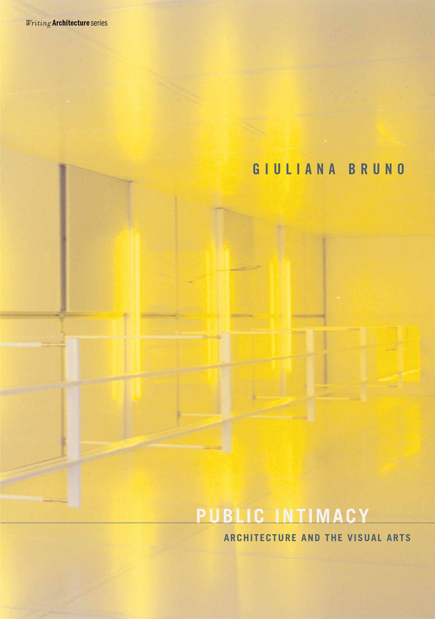 Public Intimacy - Architecture and the Visual Arts (Writing Architecture)