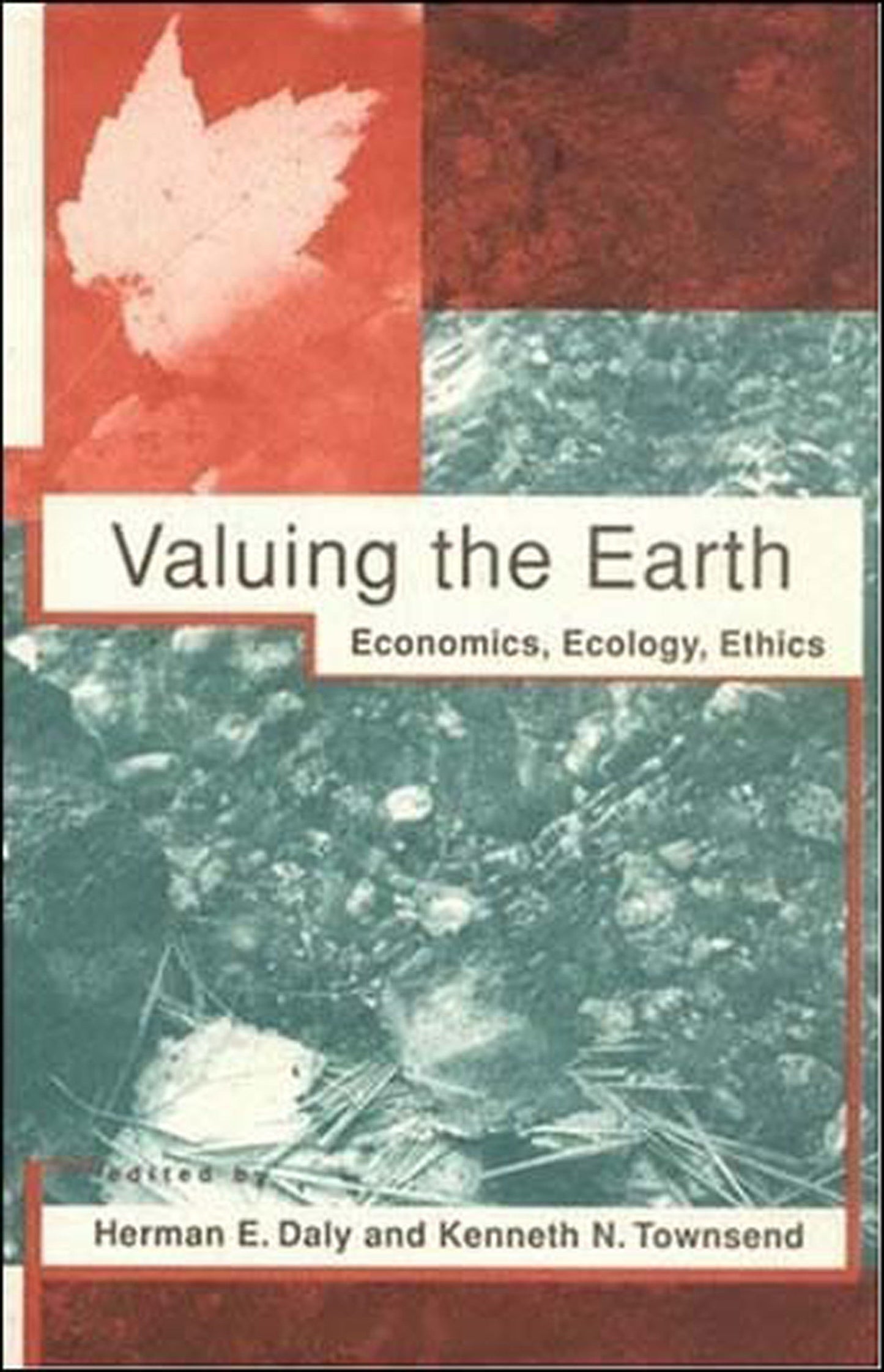 Valuing the Earth, second edition - Economics, Ecology, Ethics