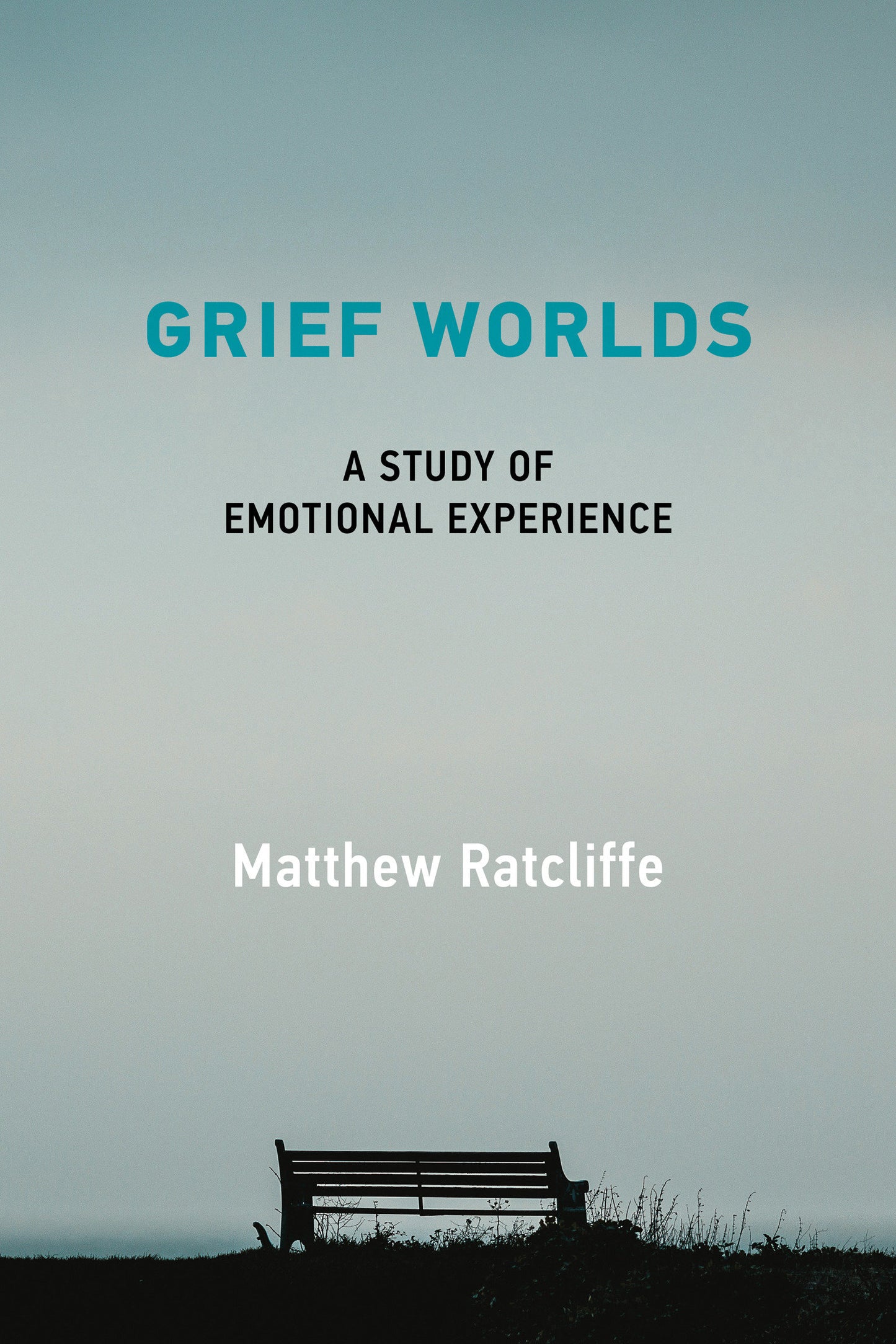 Grief Worlds - A Study of Emotional Experience