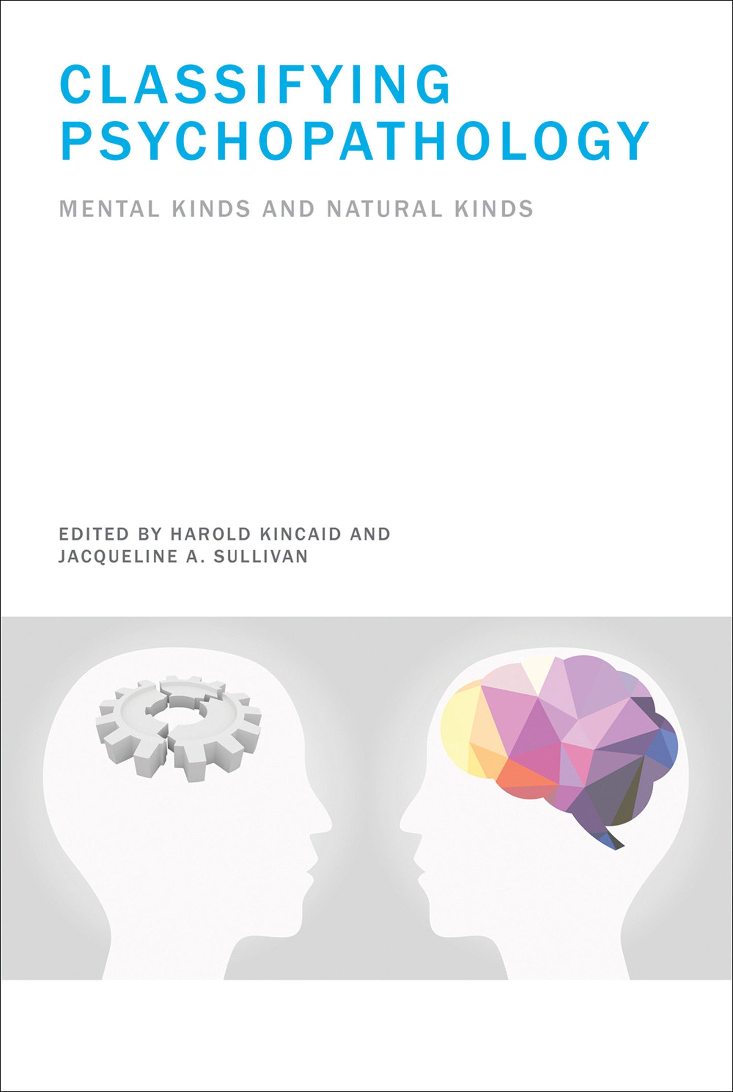 Classifying Psychopathology - Mental Kinds and Natural Kinds (Life and Mind: Philosophical Issues in Biology and Psychology)