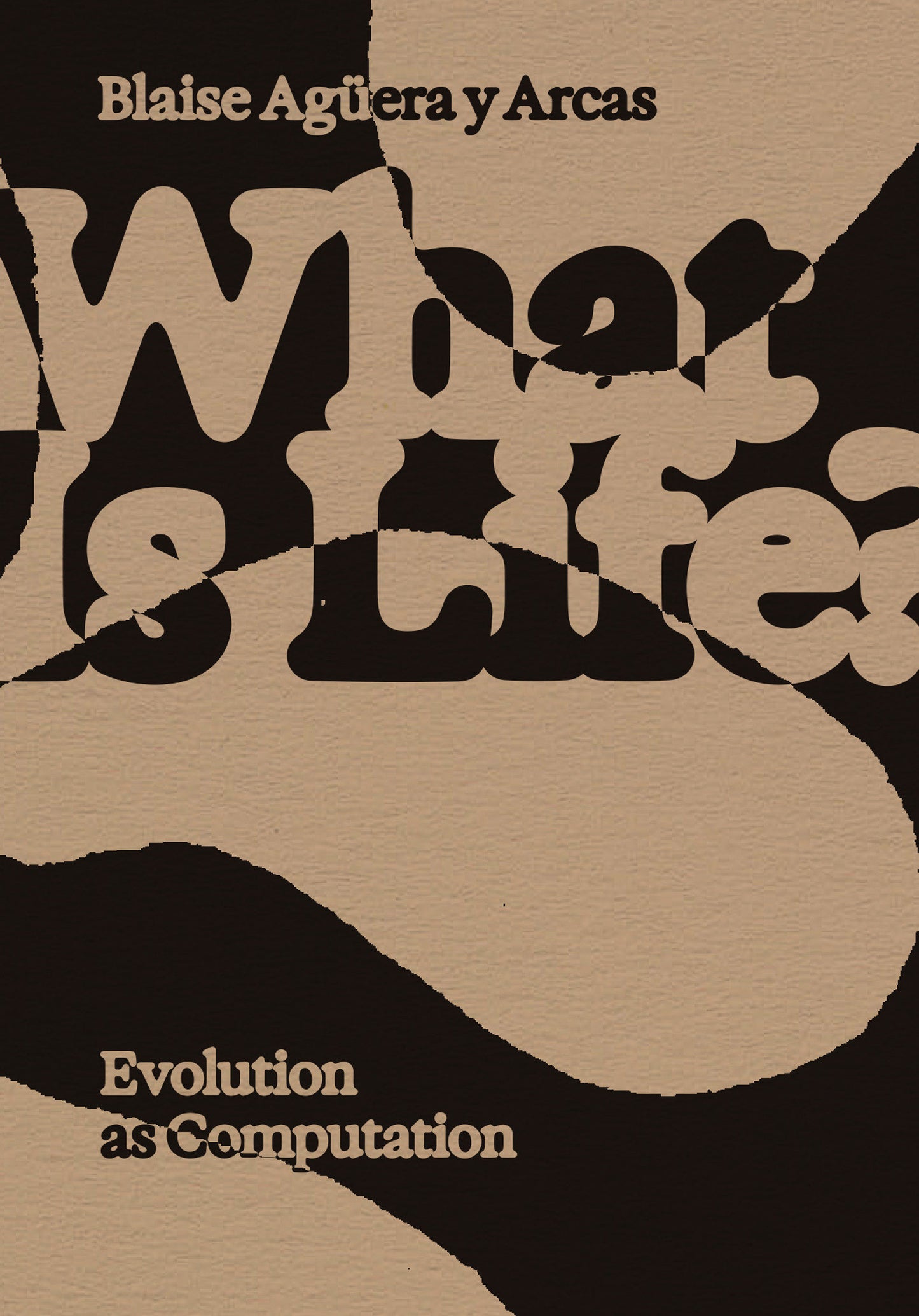 What Is Life? - Evolution as Computation