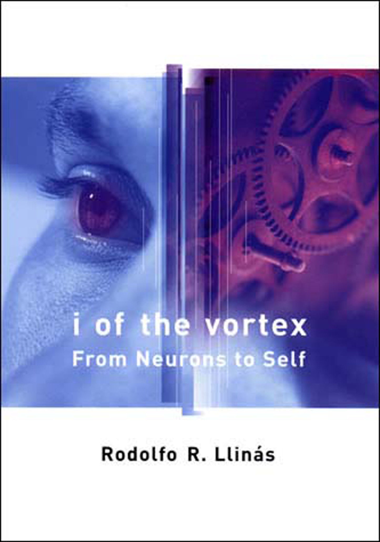 I of the Vortex - From Neurons to Self