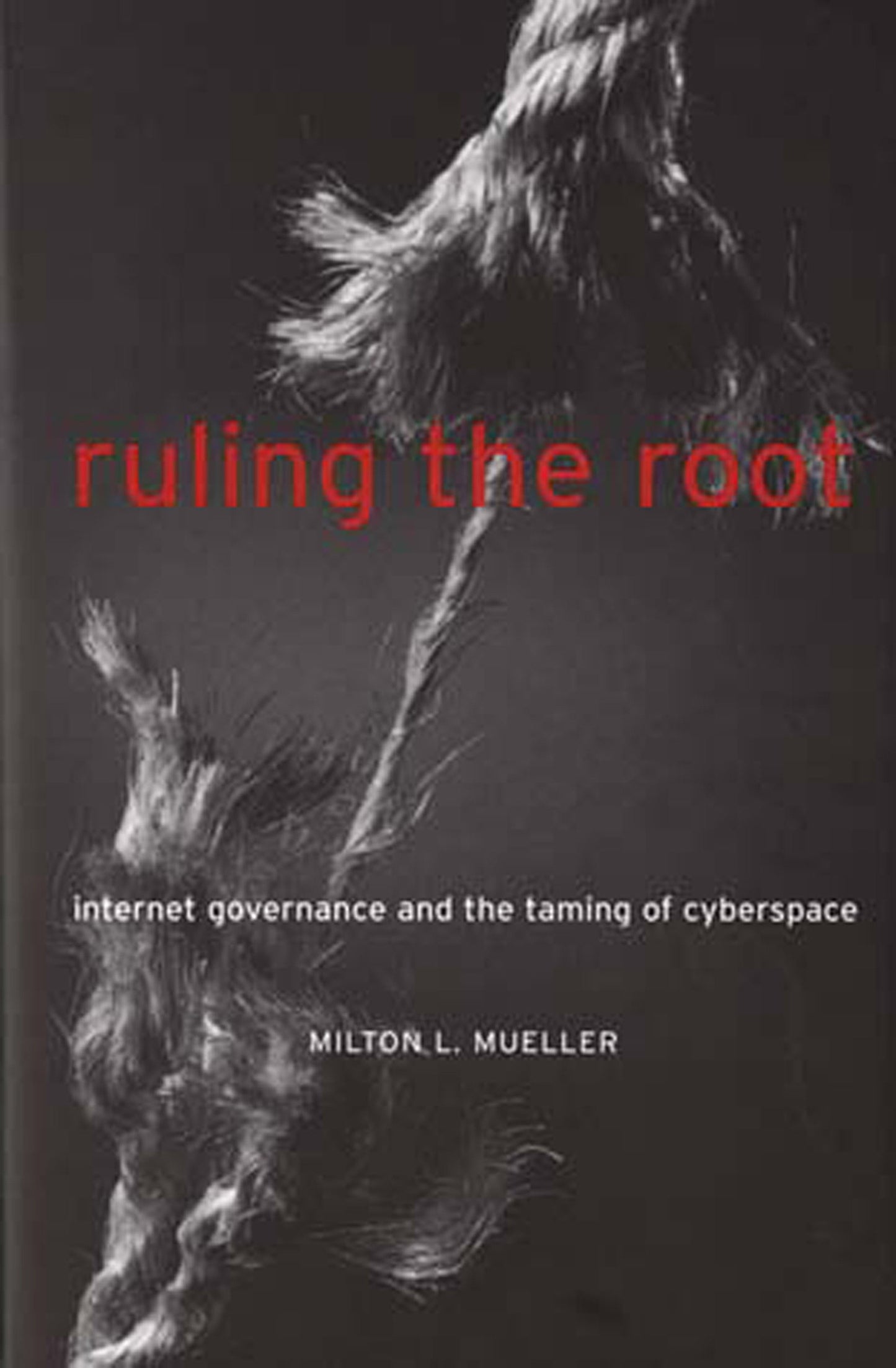 Ruling the Root - Internet Governance and the Taming of Cyberspace