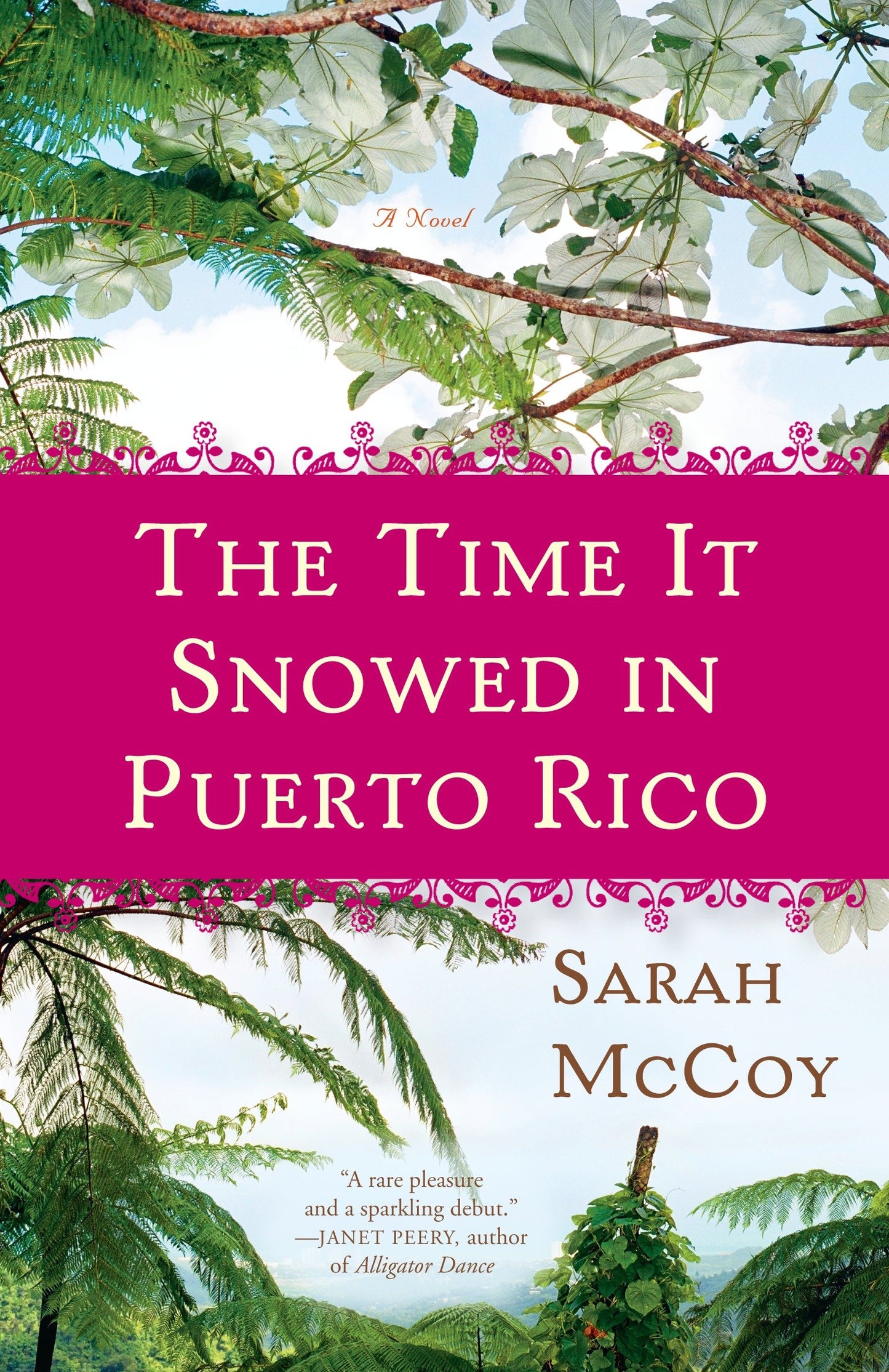 The Time It Snowed in Puerto Rico - A Novel