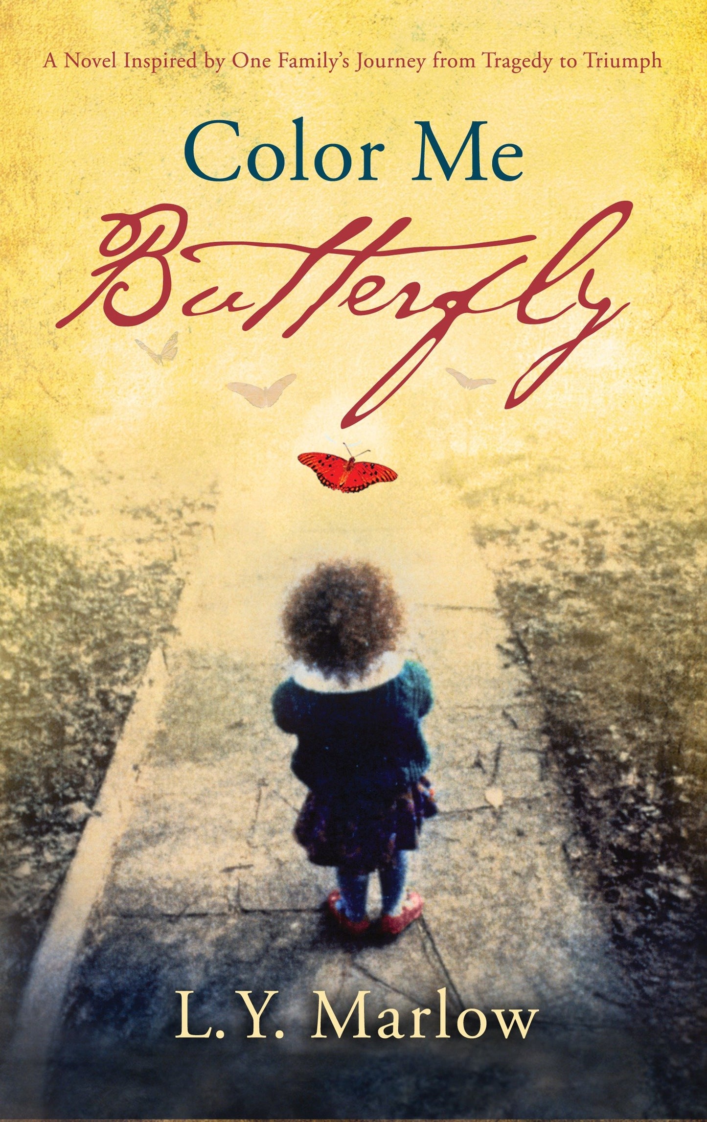 Color Me Butterfly - A Novel Inspired by One Family's Journey from Tragedy to Triumph