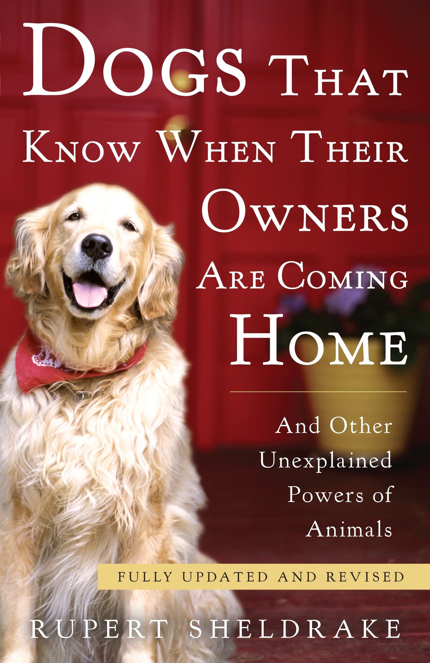 Dogs That Know When Their Owners Are Coming Home - Fully Updated and Revised