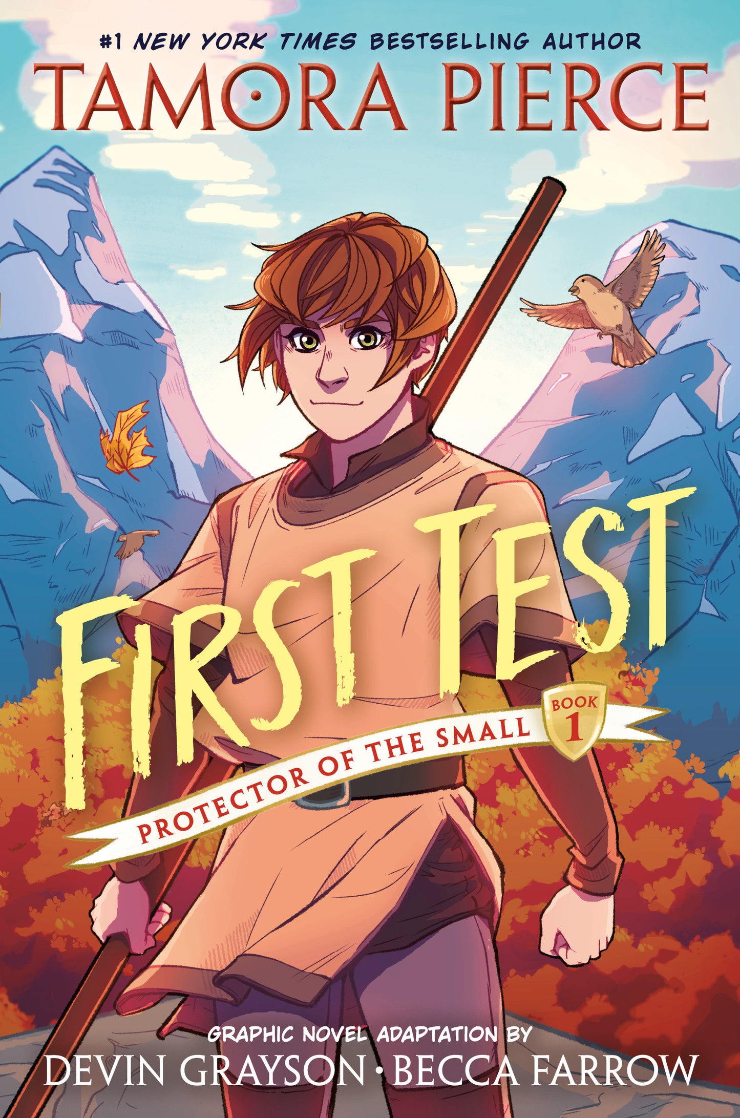 First Test Graphic Novel - (A Graphic Novel) (Protector of the Small) (Book:1)