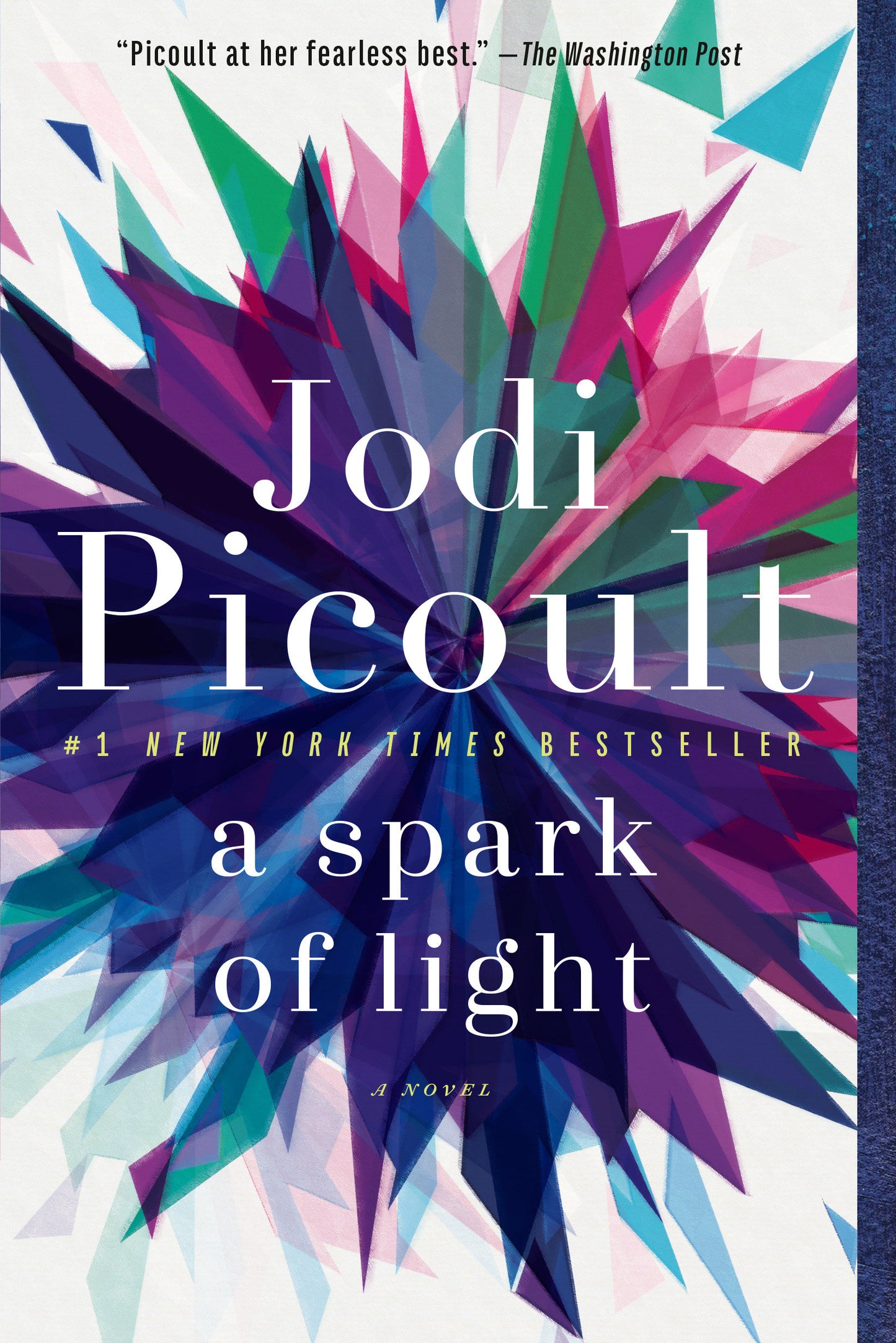 A Spark of Light - A Novel