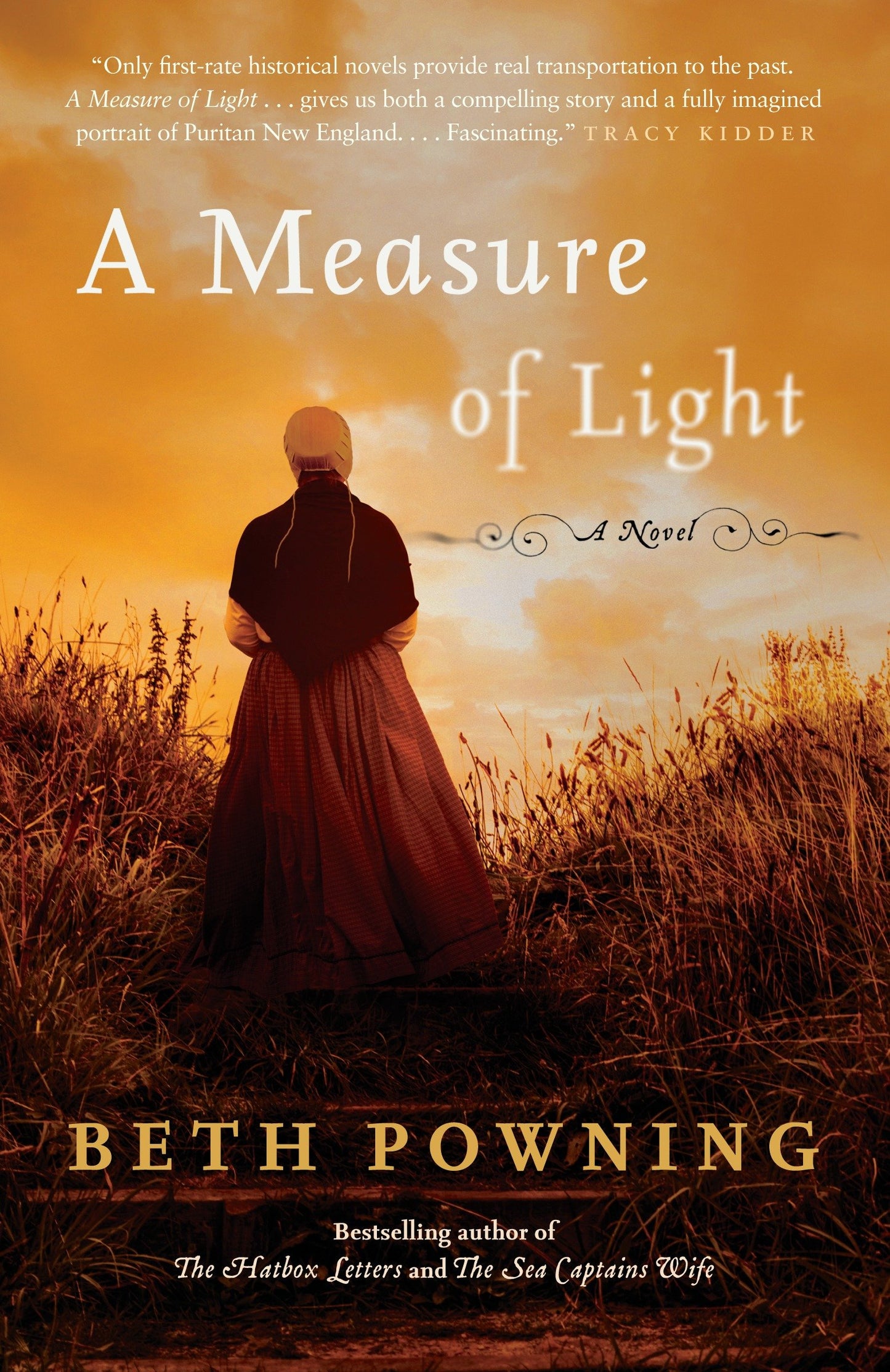 A Measure of Light - A Novel