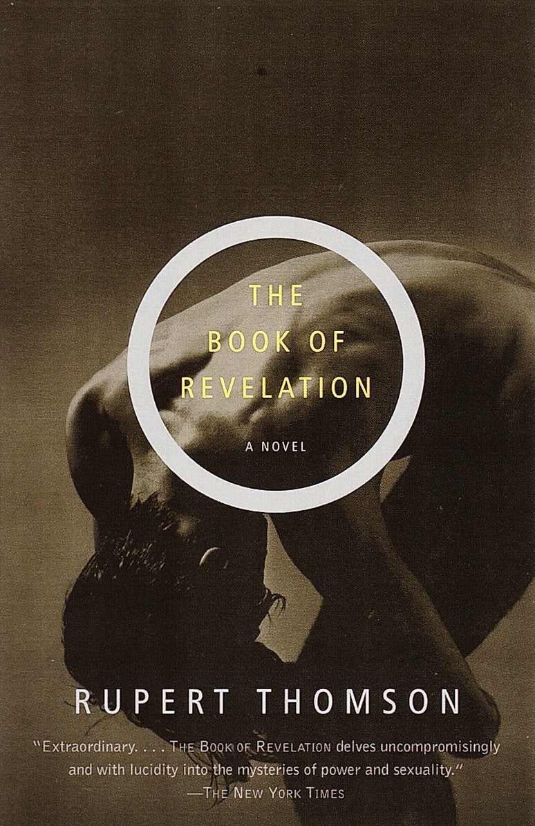 The Book of Revelation - A Novel (Vintage International)