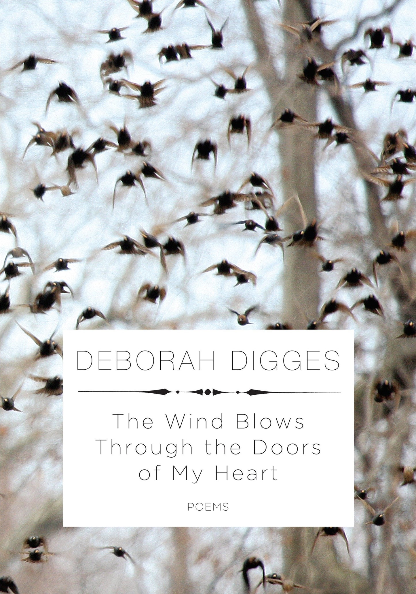 The Wind Blows Through the Doors of My Heart - Poems