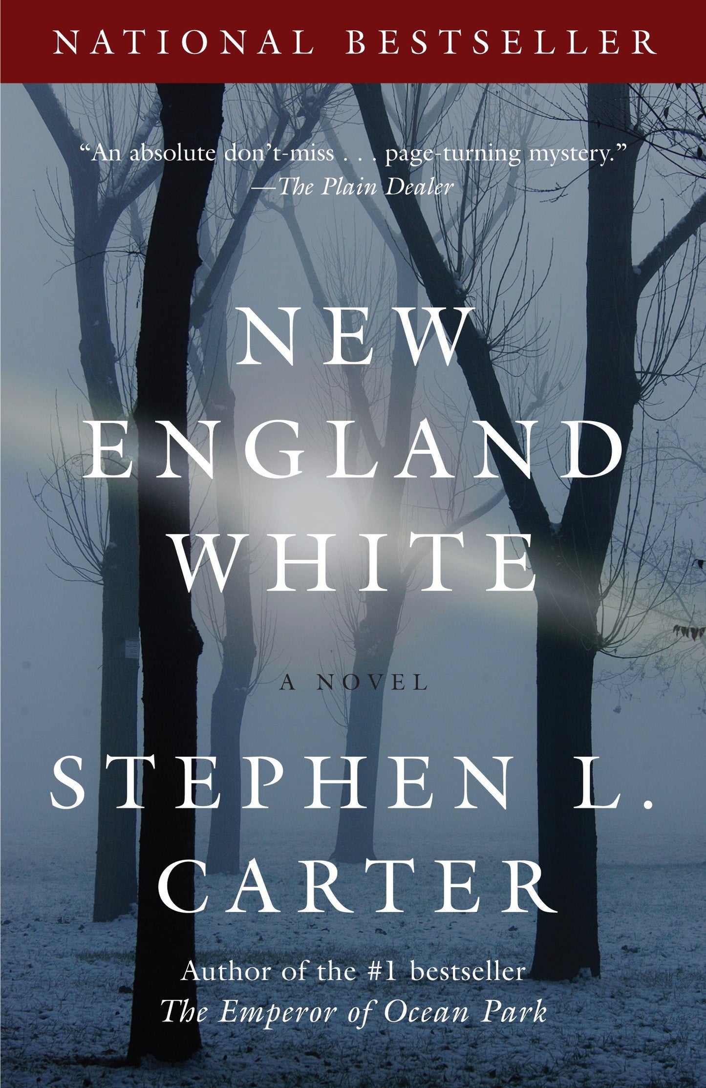 New England White - A Novel (Vintage Contemporaries)