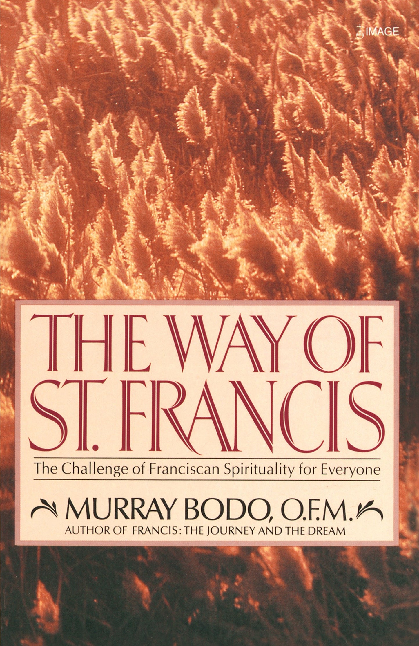 The Way of St. Francis - The Challenge of Franciscan Spirituality for Everyone