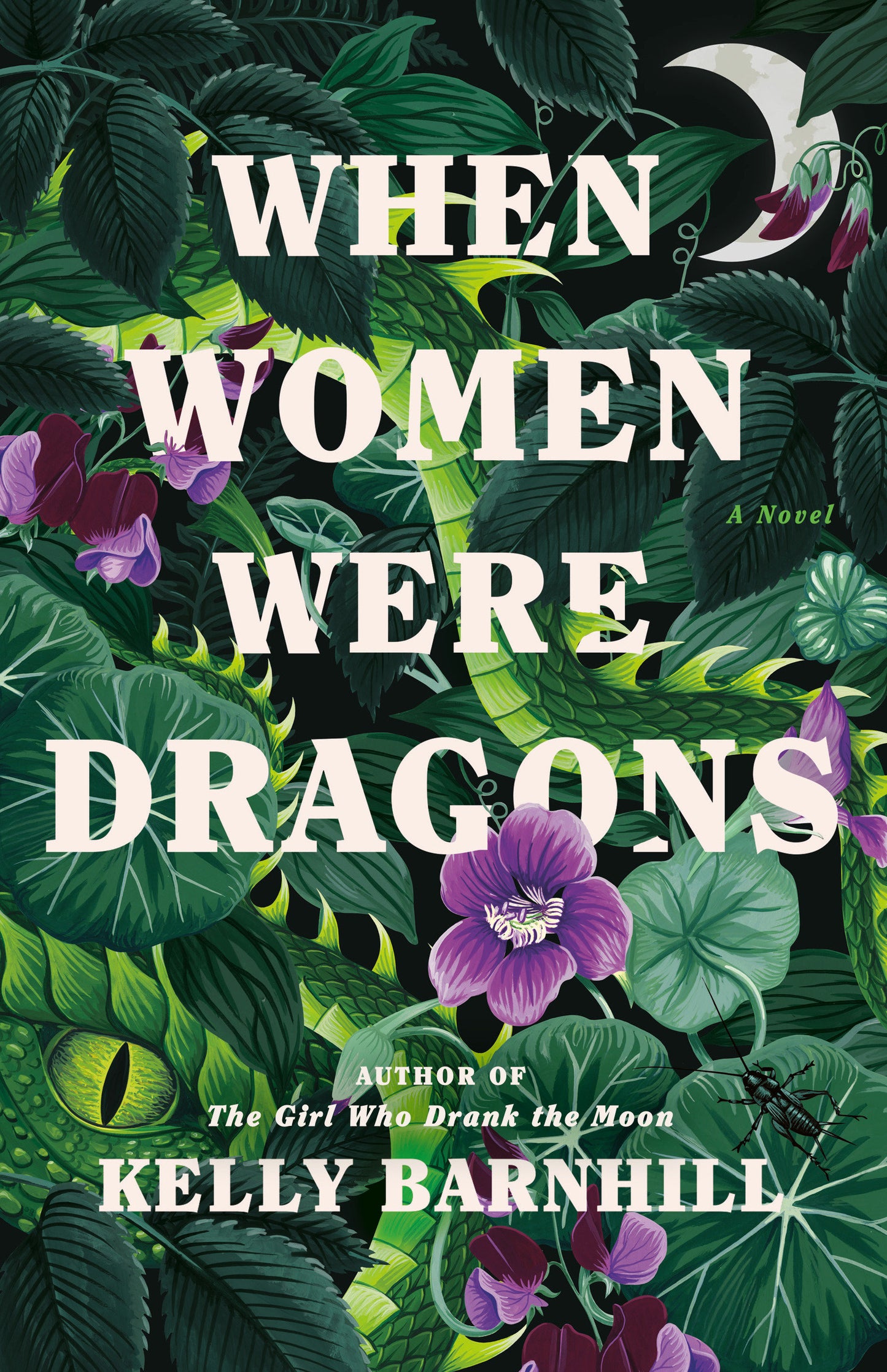 When Women Were Dragons - A Novel