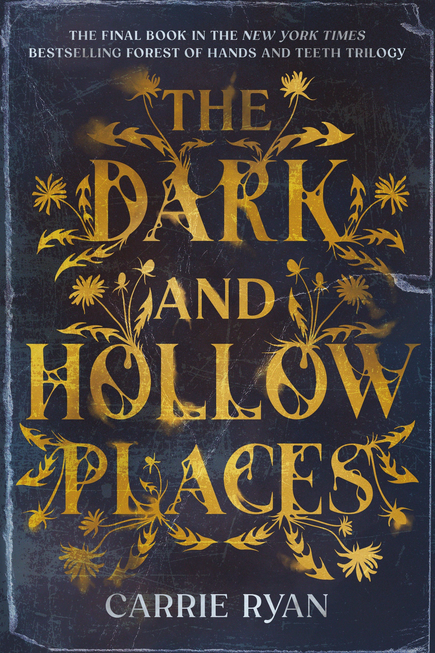 The Dark and Hollow Places (Forest of Hands and Teeth Trilogy)