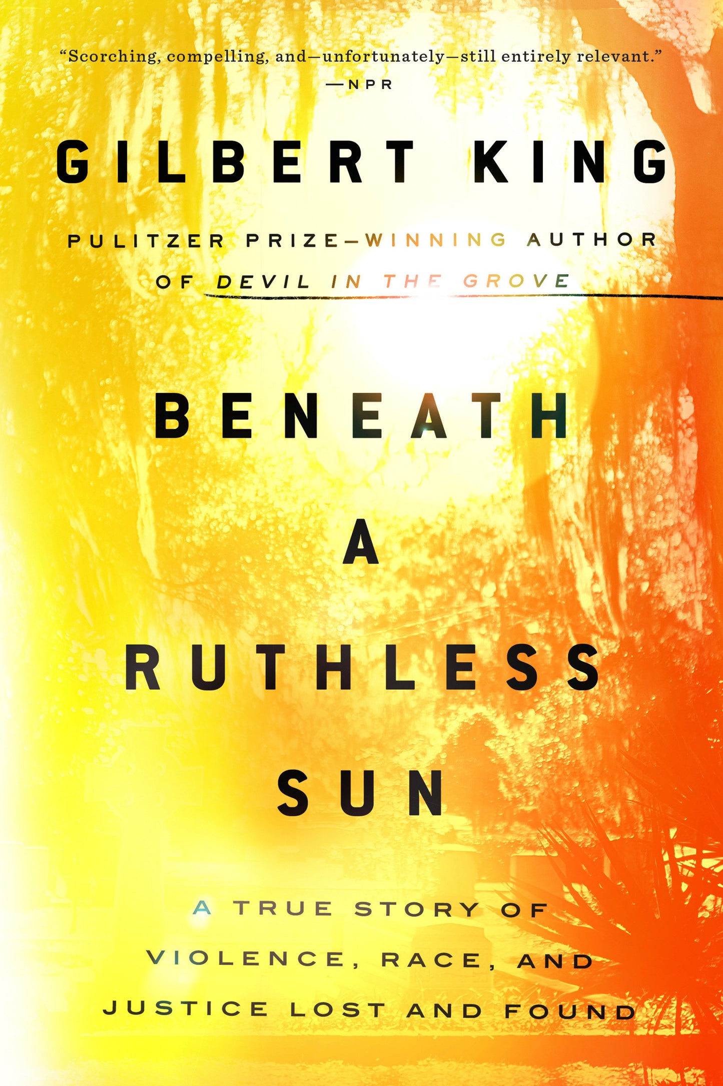 Beneath a Ruthless Sun - A True Story of Violence, Race, and Justice Lost and Found
