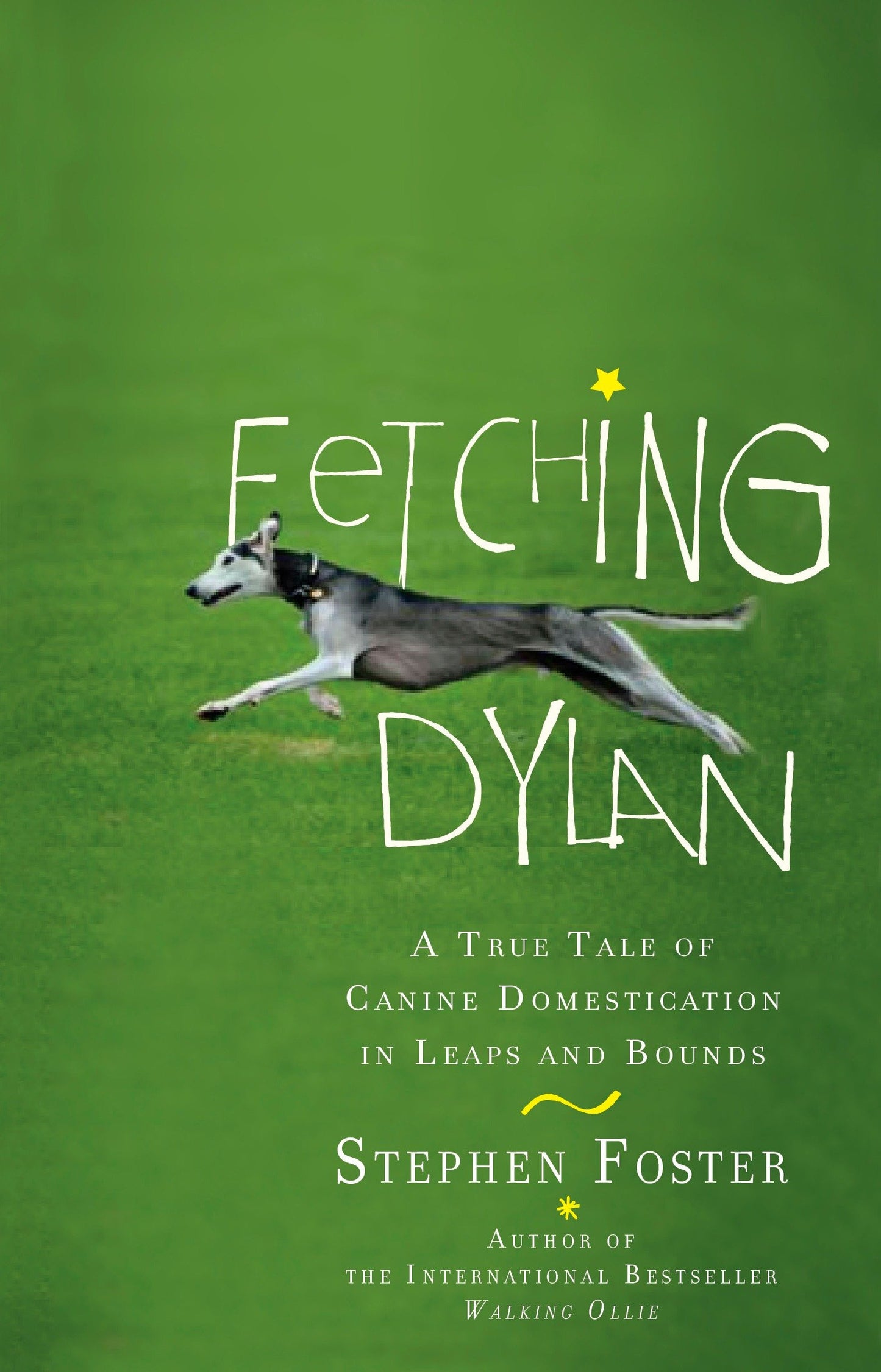 Fetching Dylan - A True Tale of Canine Domestication in Leaps and Bounds