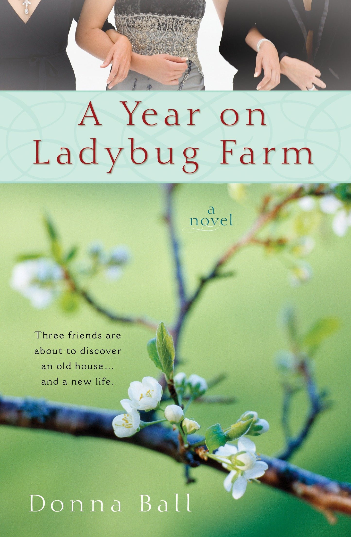 A Year on Ladybug Farm (A Ladybug Farm Novel)