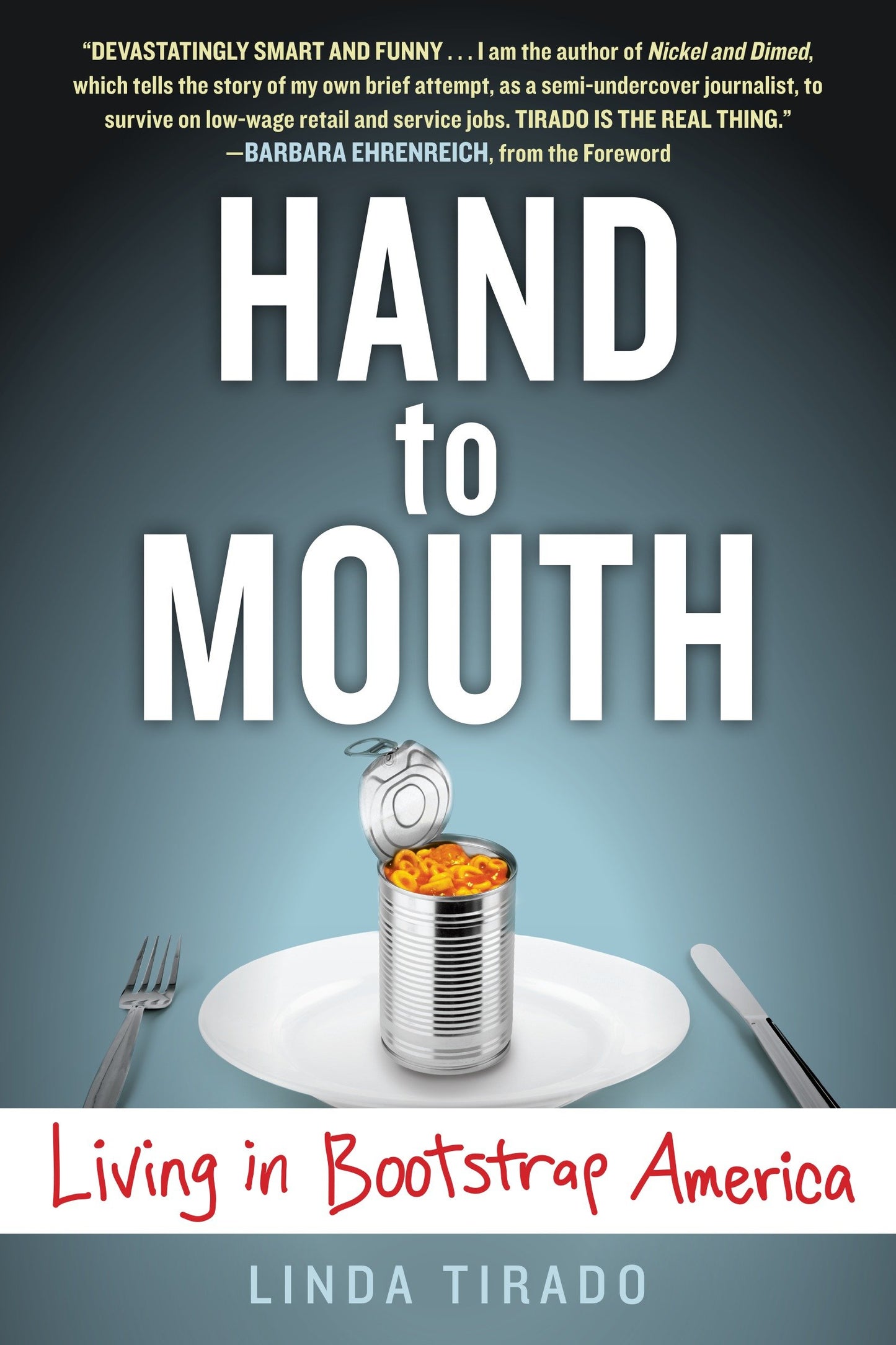 Hand to Mouth - Living in Bootstrap America