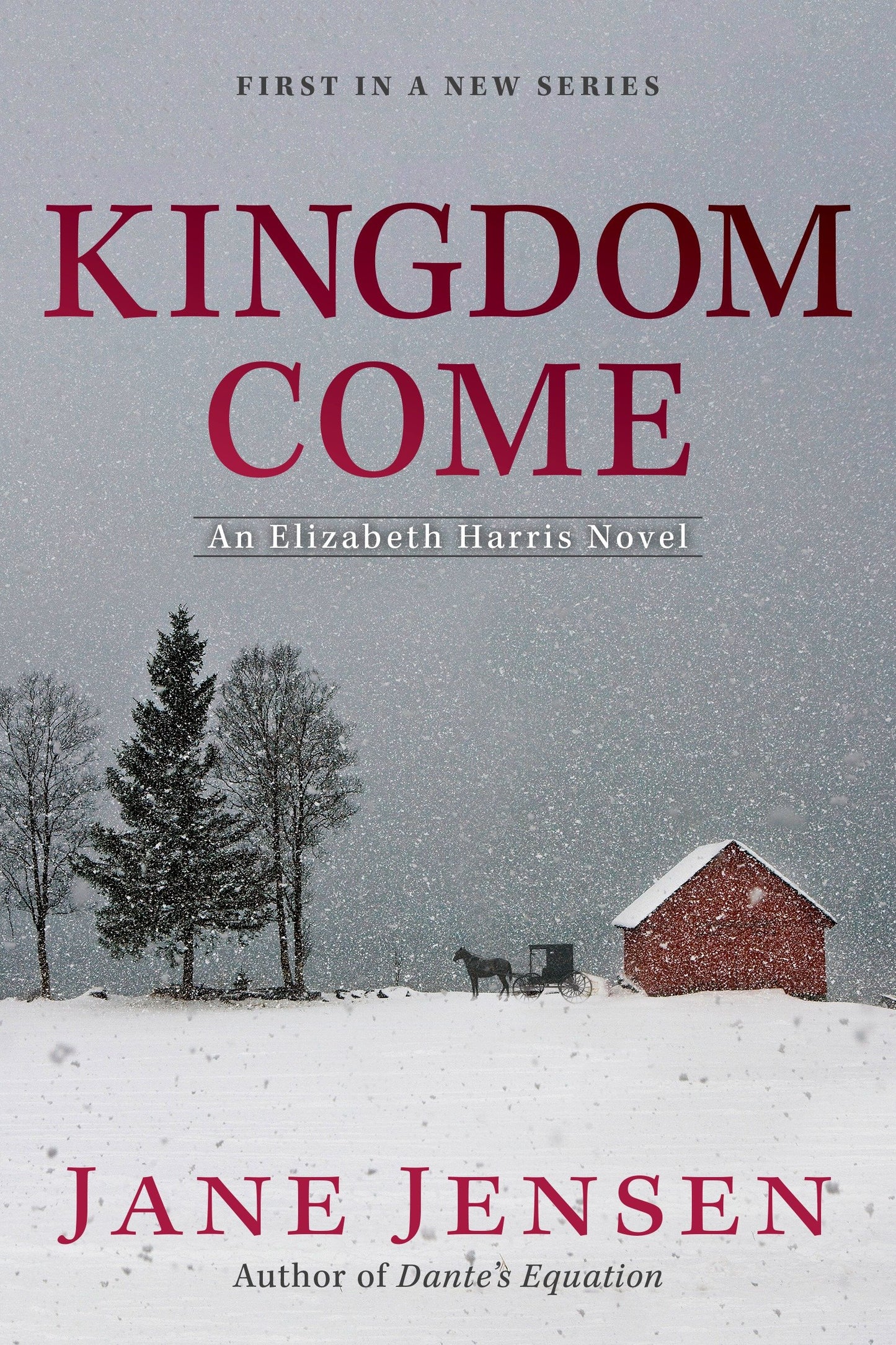 Kingdom Come (Elizabeth Harris Novel, An) (Book:1)