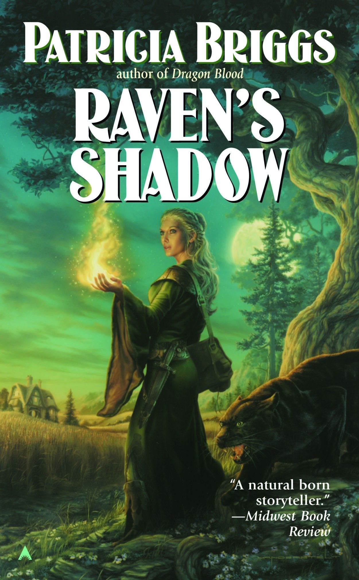 Raven's Shadow (Raven) (Book:1)
