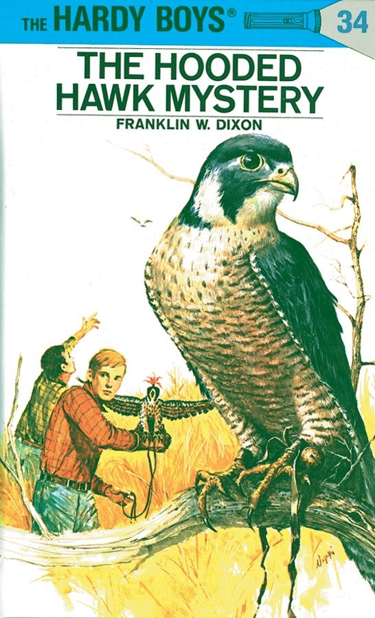 Hardy Boys 34: The Hooded Hawk Mystery (The Hardy Boys) (Book:34)