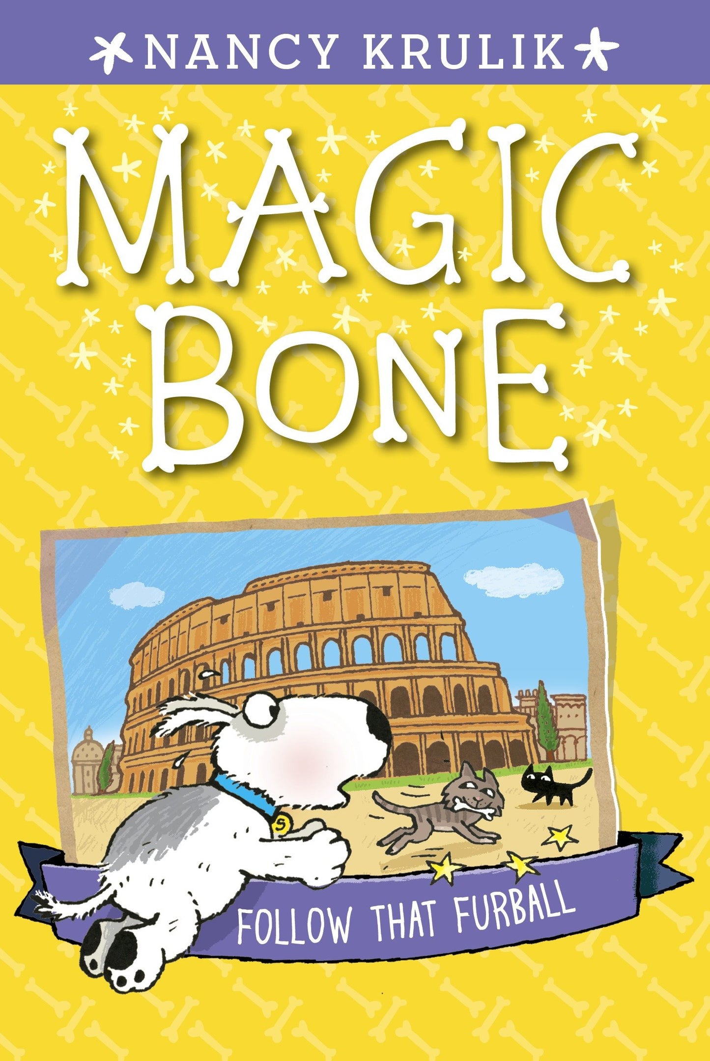 Follow That Furball #3 (Magic Bone) (Book:3)