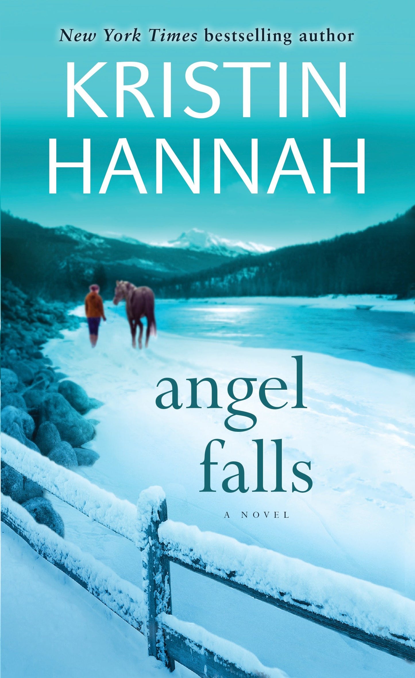 Angel Falls - A Novel