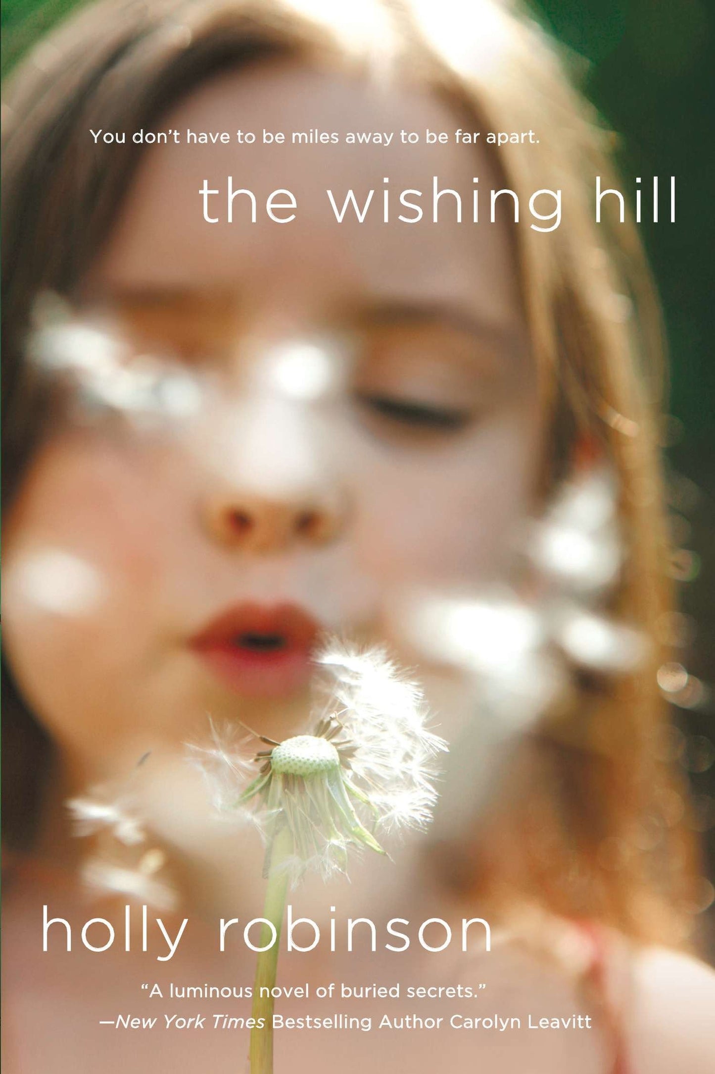 The Wishing Hill - A Novel