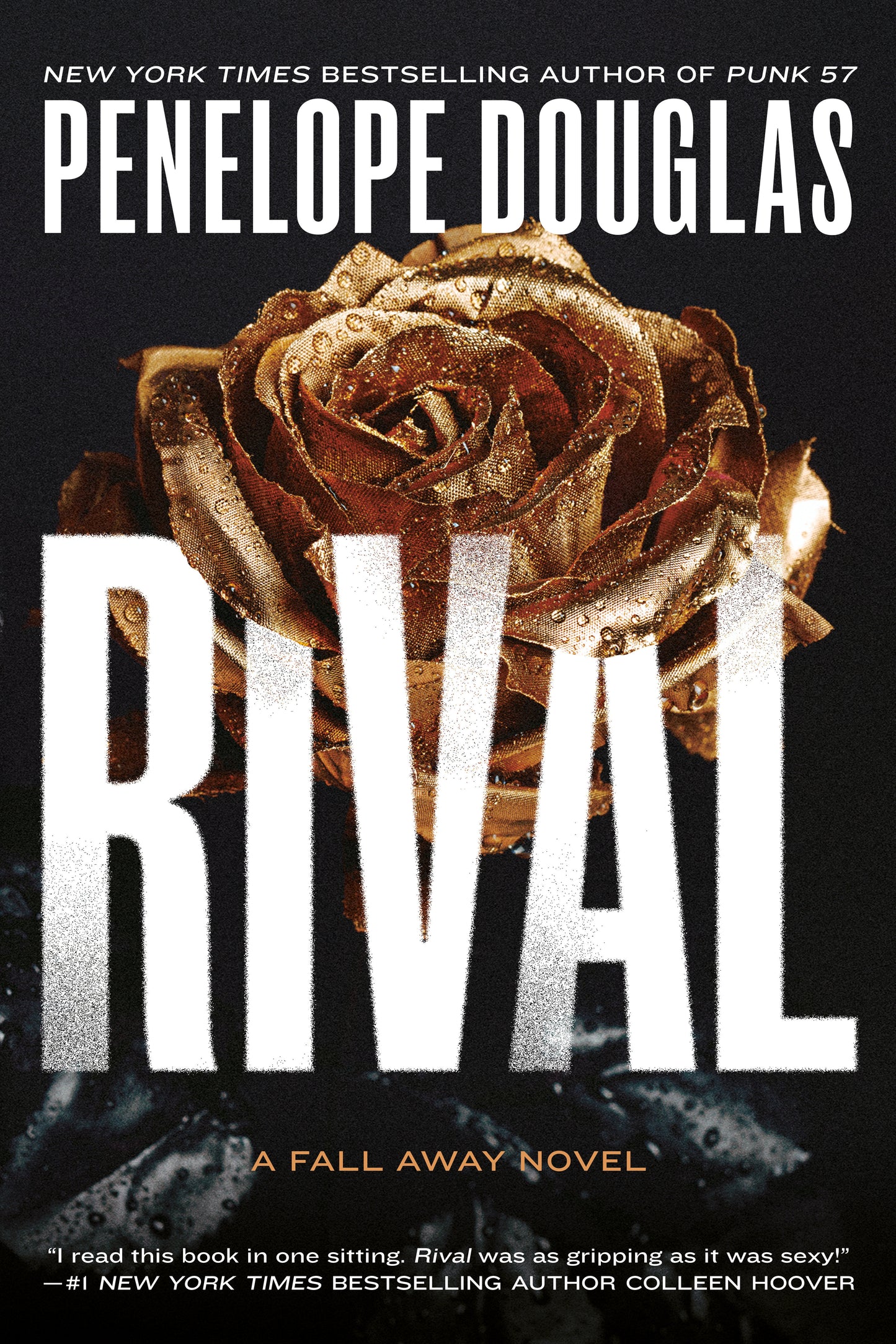 Rival (The Fall Away Series) (Book:3)