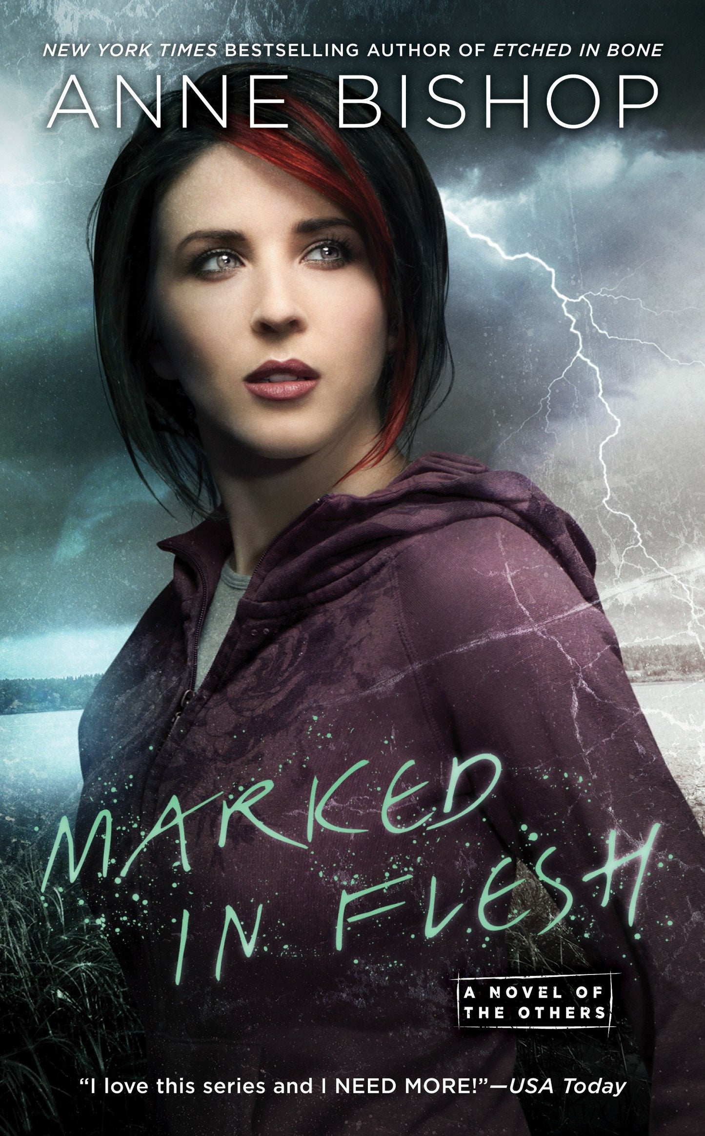 Marked In Flesh (A Novel of the Others) (Book:4)