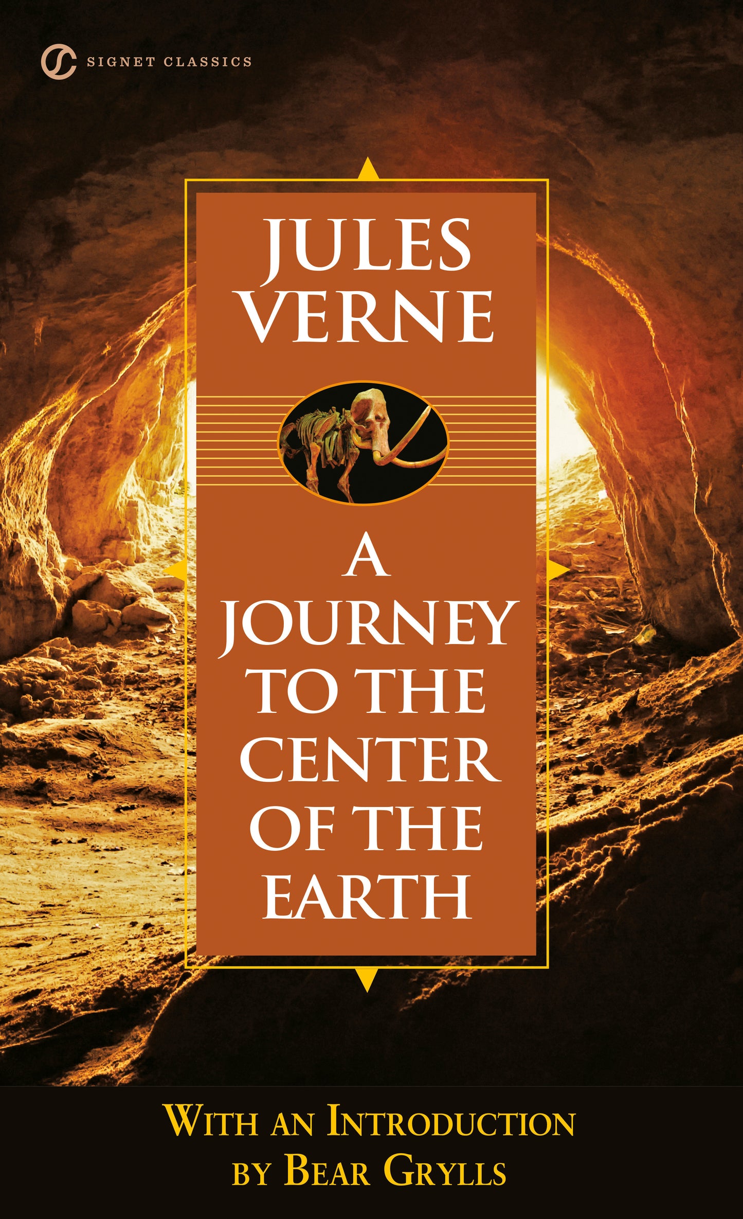Journey to the Center of the Earth (Extraordinary Voyages)