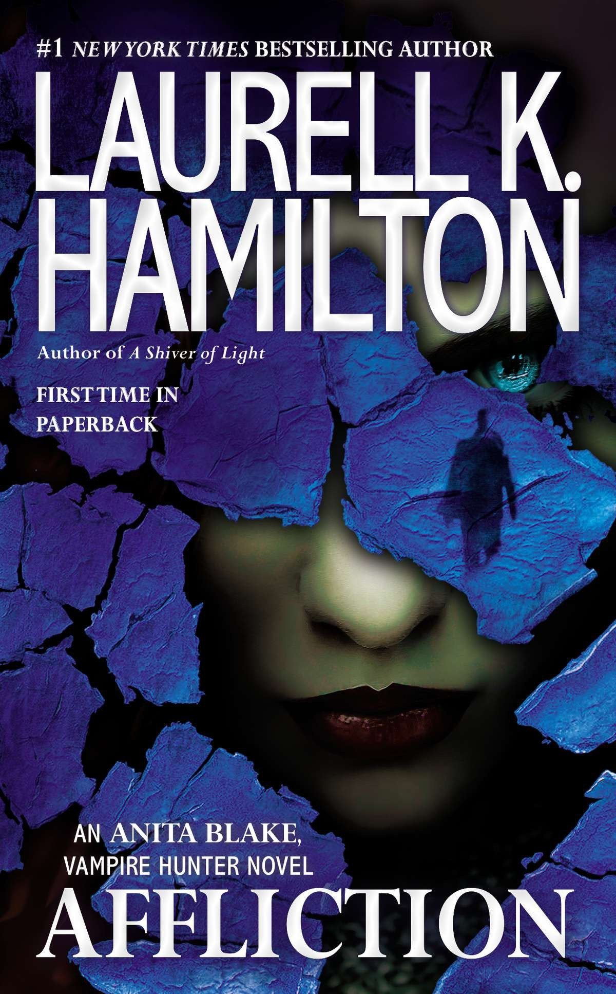 Affliction (Anita Blake, Vampire Hunter) (Book:22)