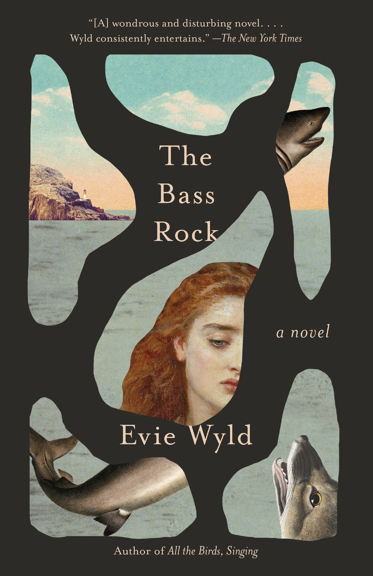 The Bass Rock - A Novel