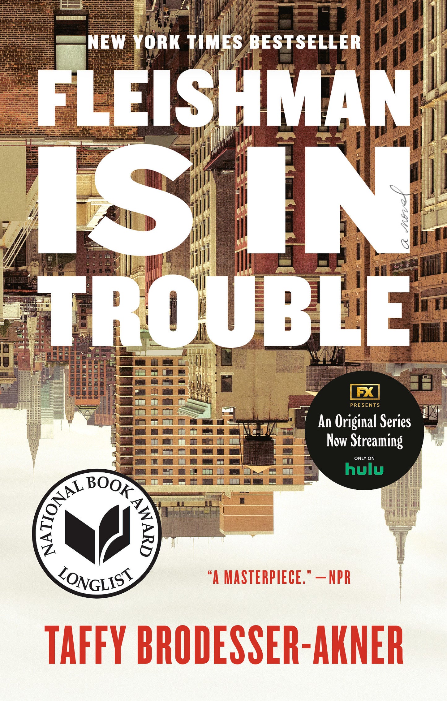 Fleishman Is in Trouble - A Novel