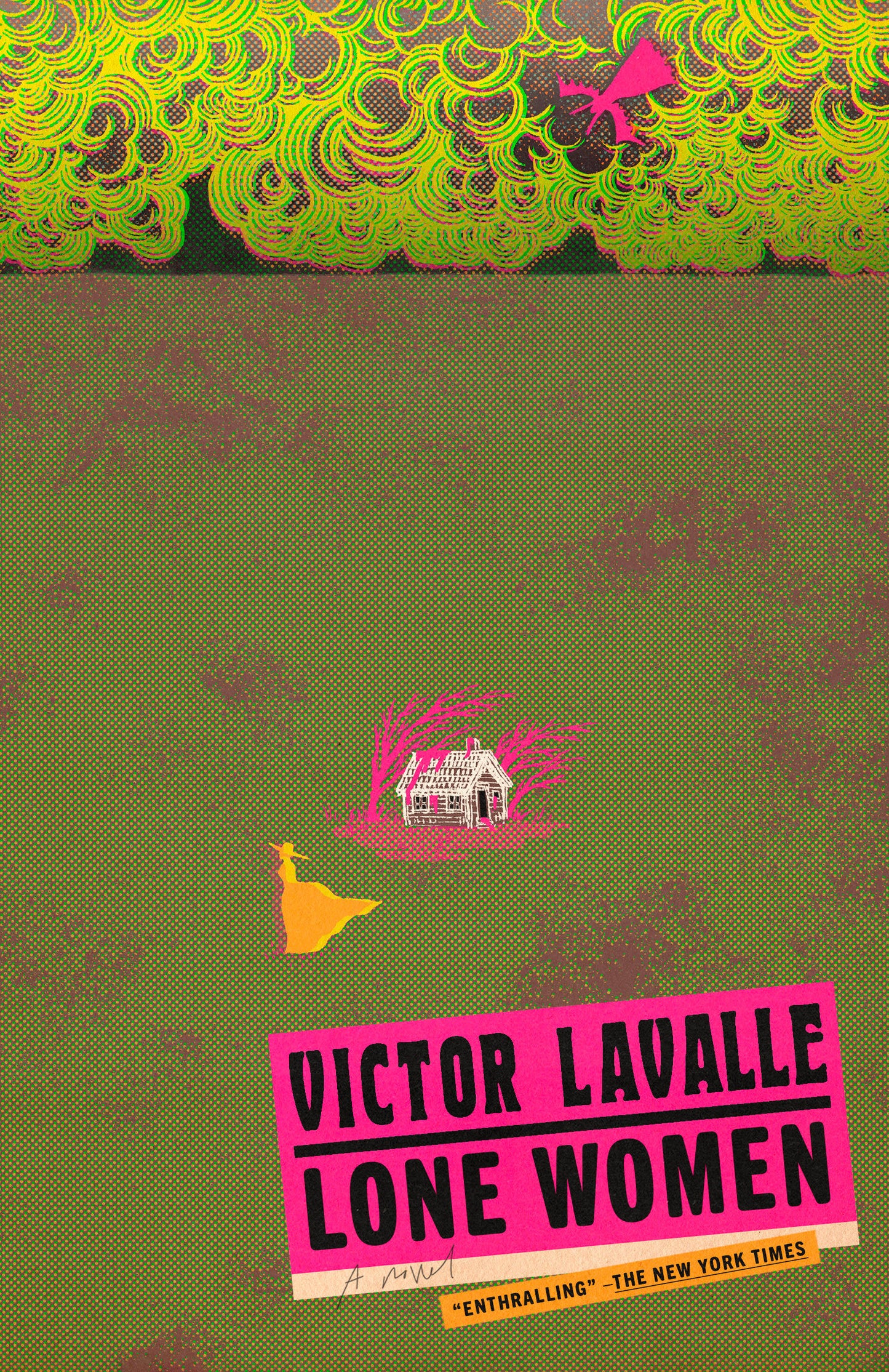 Lone Women - A Novel (The LaValle Quartet)