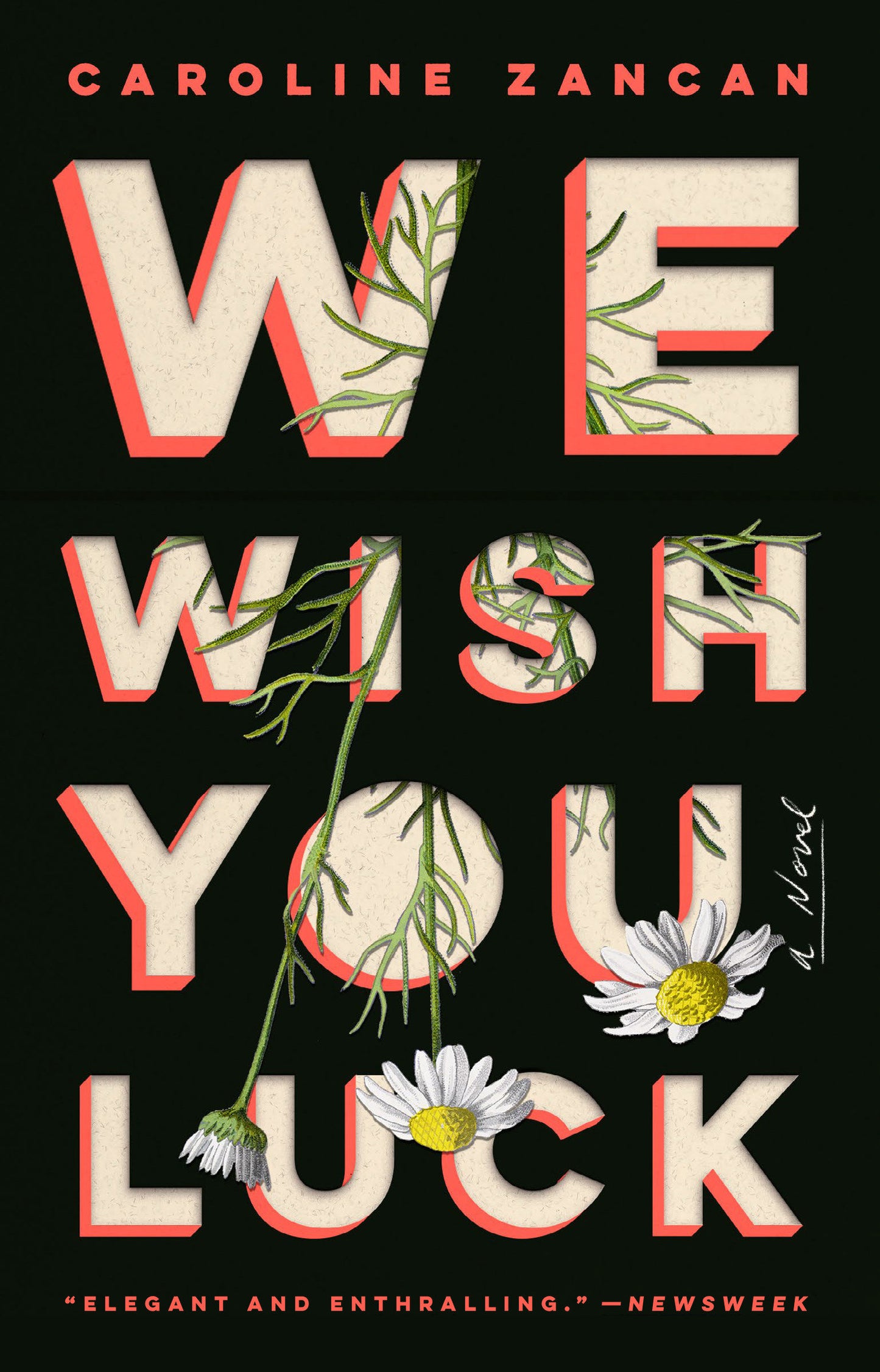 We Wish You Luck - A Novel
