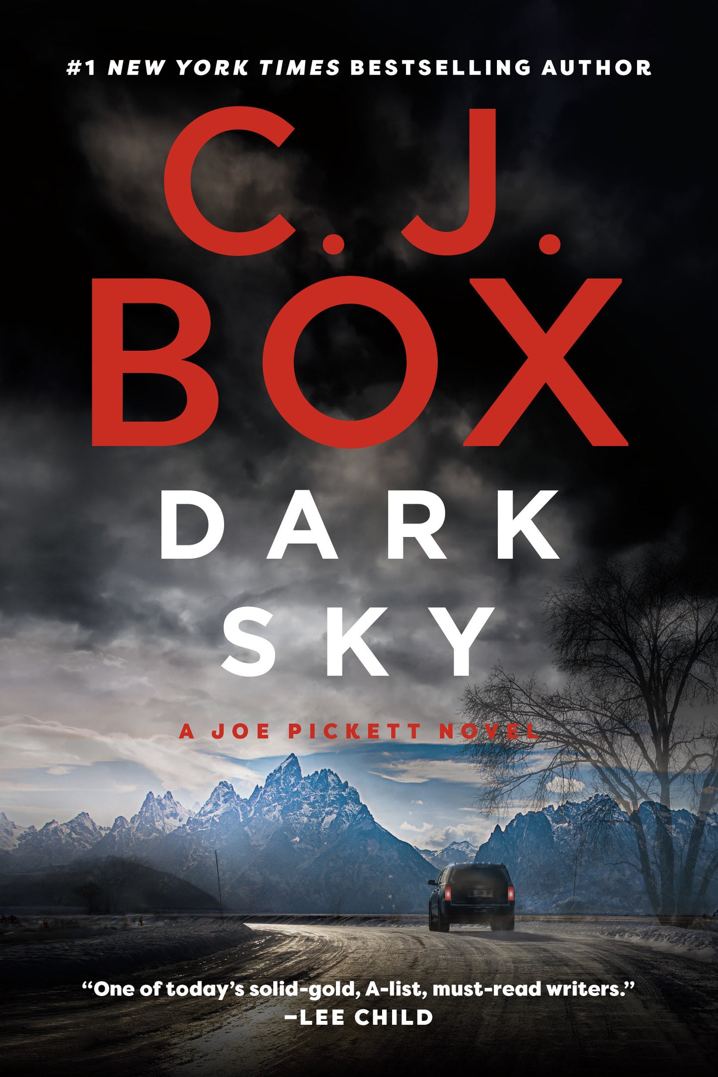 Dark Sky (A Joe Pickett Novel) (Book:21)