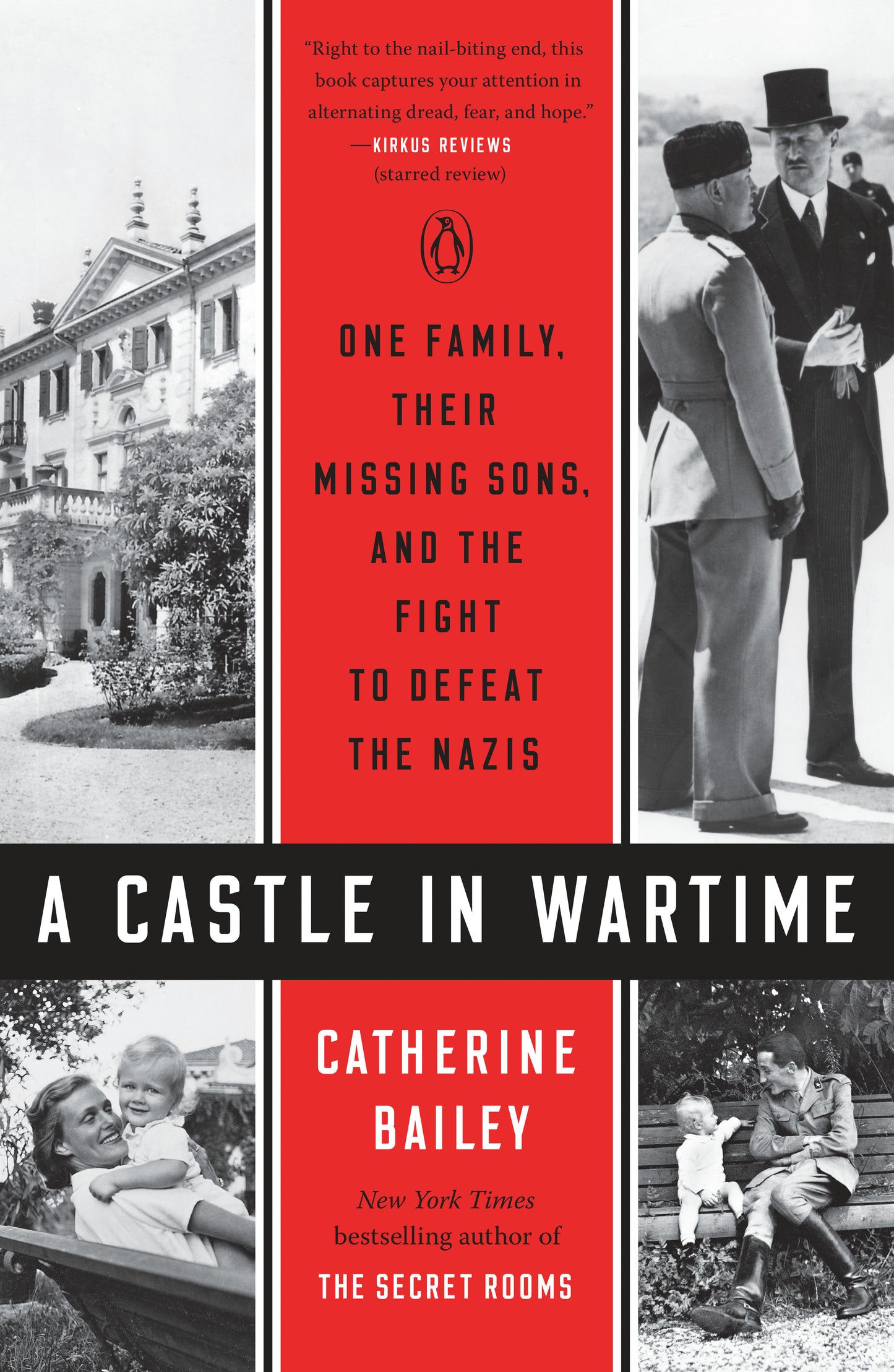 A Castle in Wartime - One Family, Their Missing Sons, and the Fight to Defeat the Nazis