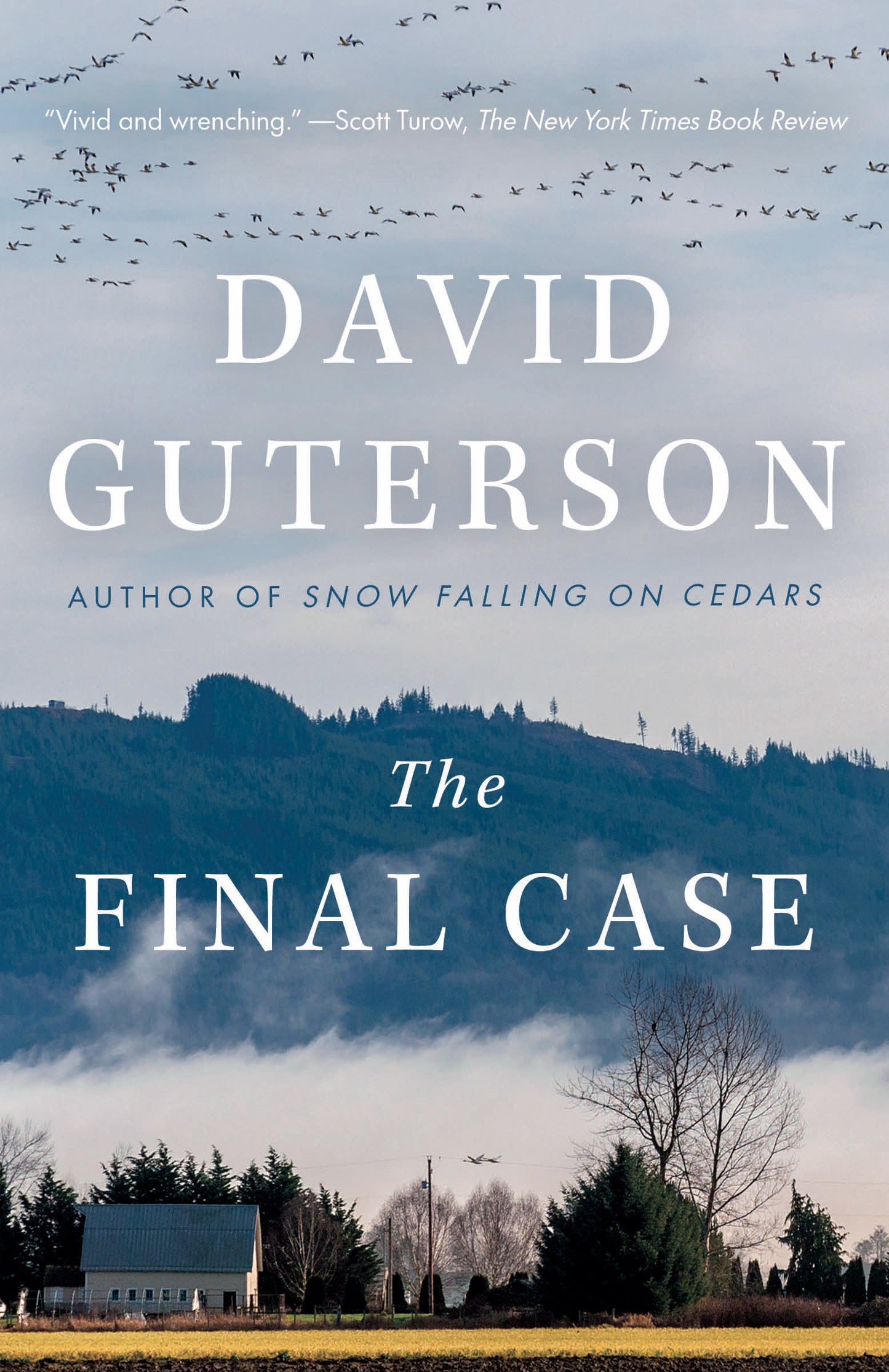 The Final Case - A novel